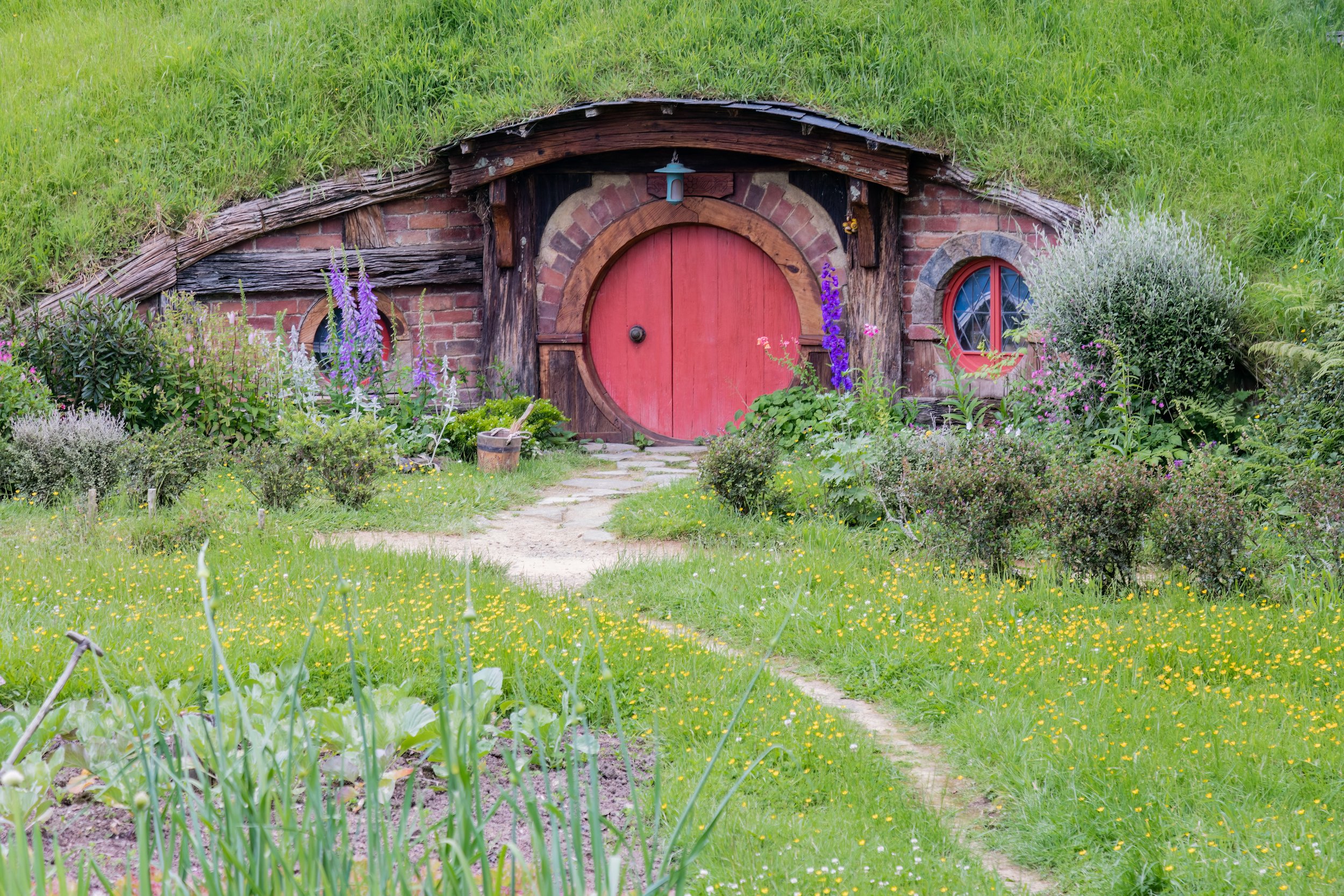 Shire Scenes. Matamata, N.Z. (Nov. 2024)