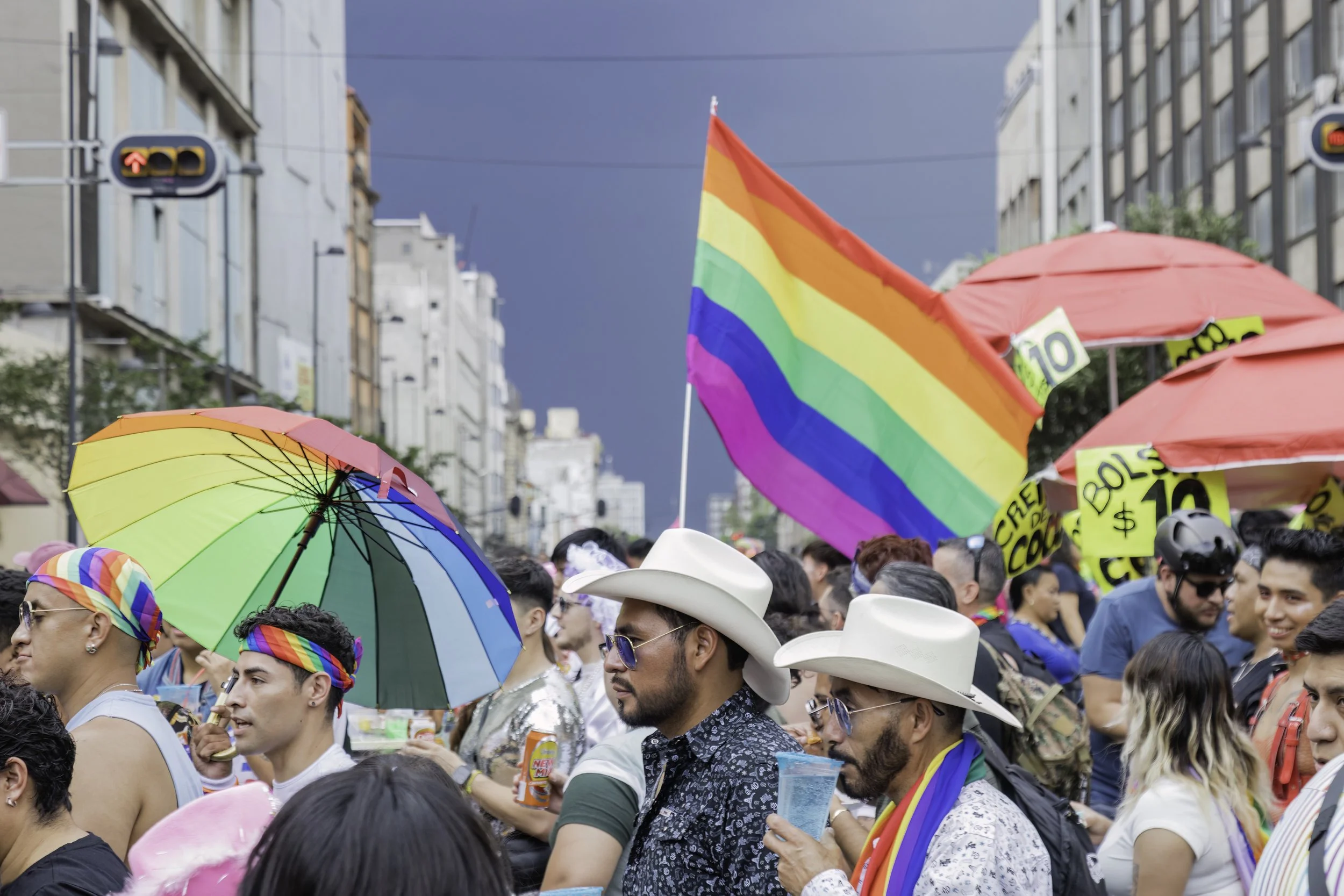 Proud March. Mexico City (June 2025)