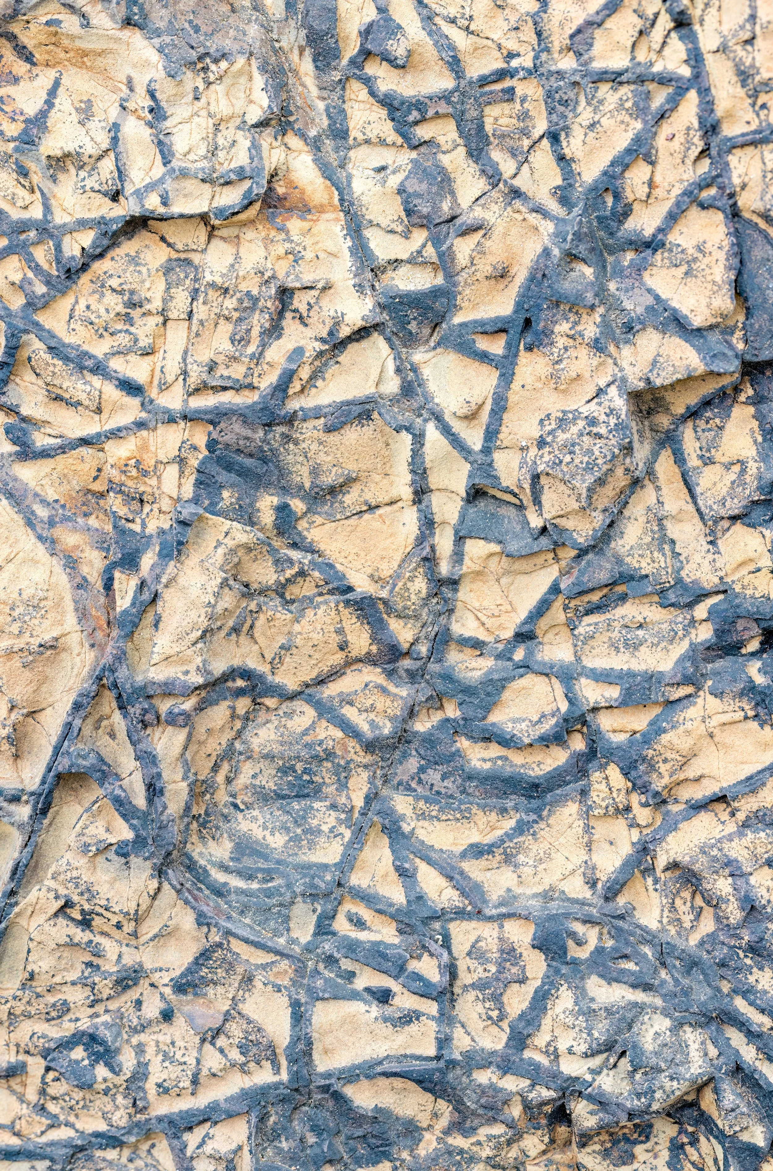 In Geological Time, Part II. Pacific City, Ore. (Aug. 2025)