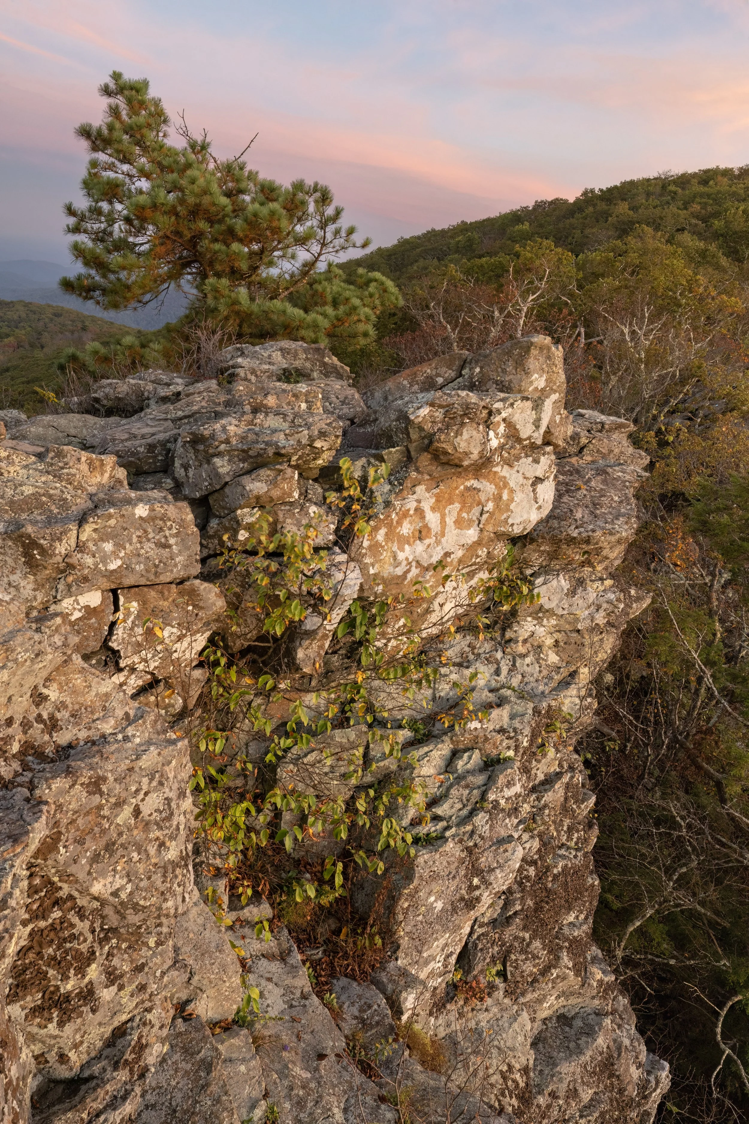 Bearfence Sunset. Shenandoah N.P., Va. (Sept. 2025)