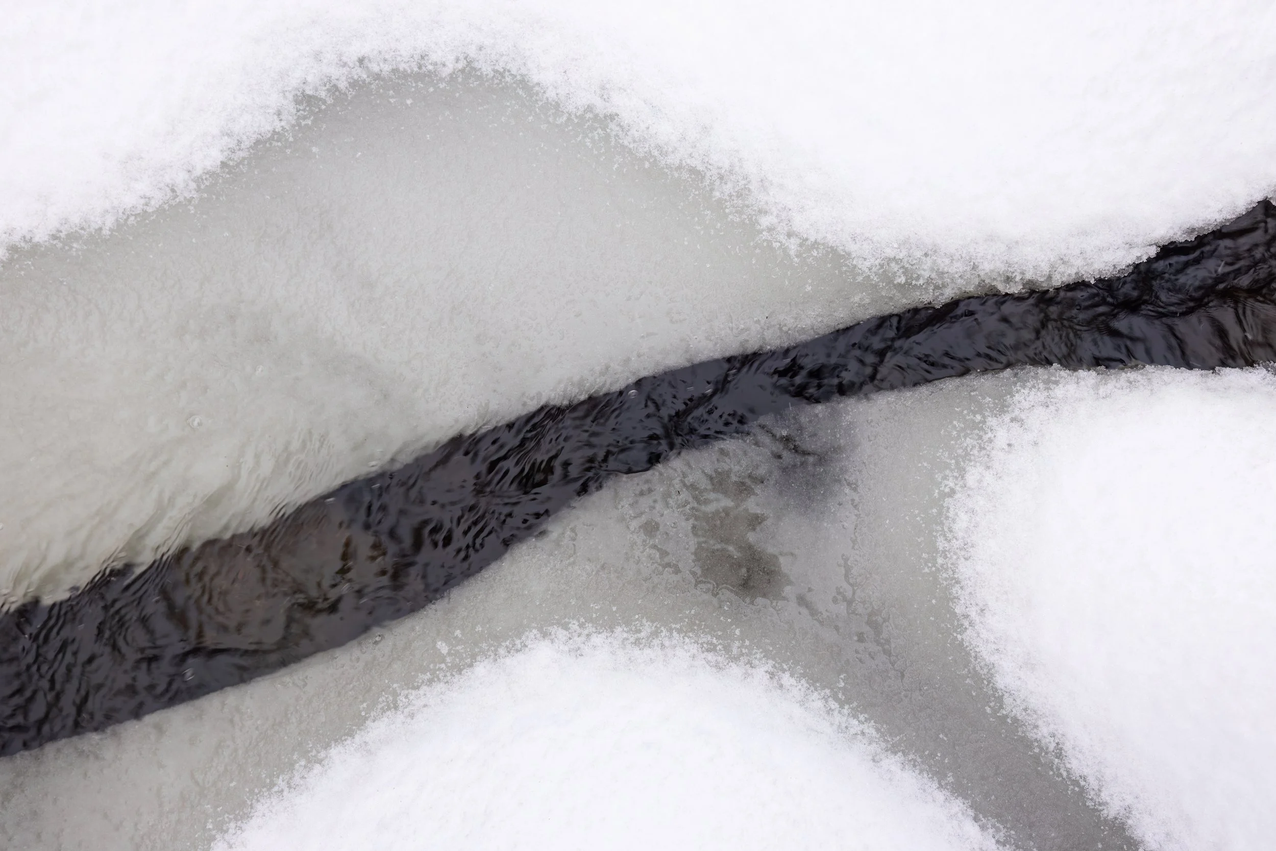 Through Line. Washington, D.C. (Jan. 2026)