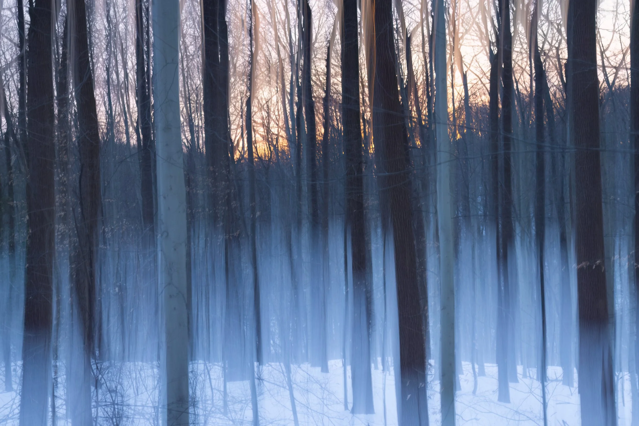 Winter Sunset. Washington, D.C. (Jan. 2026)