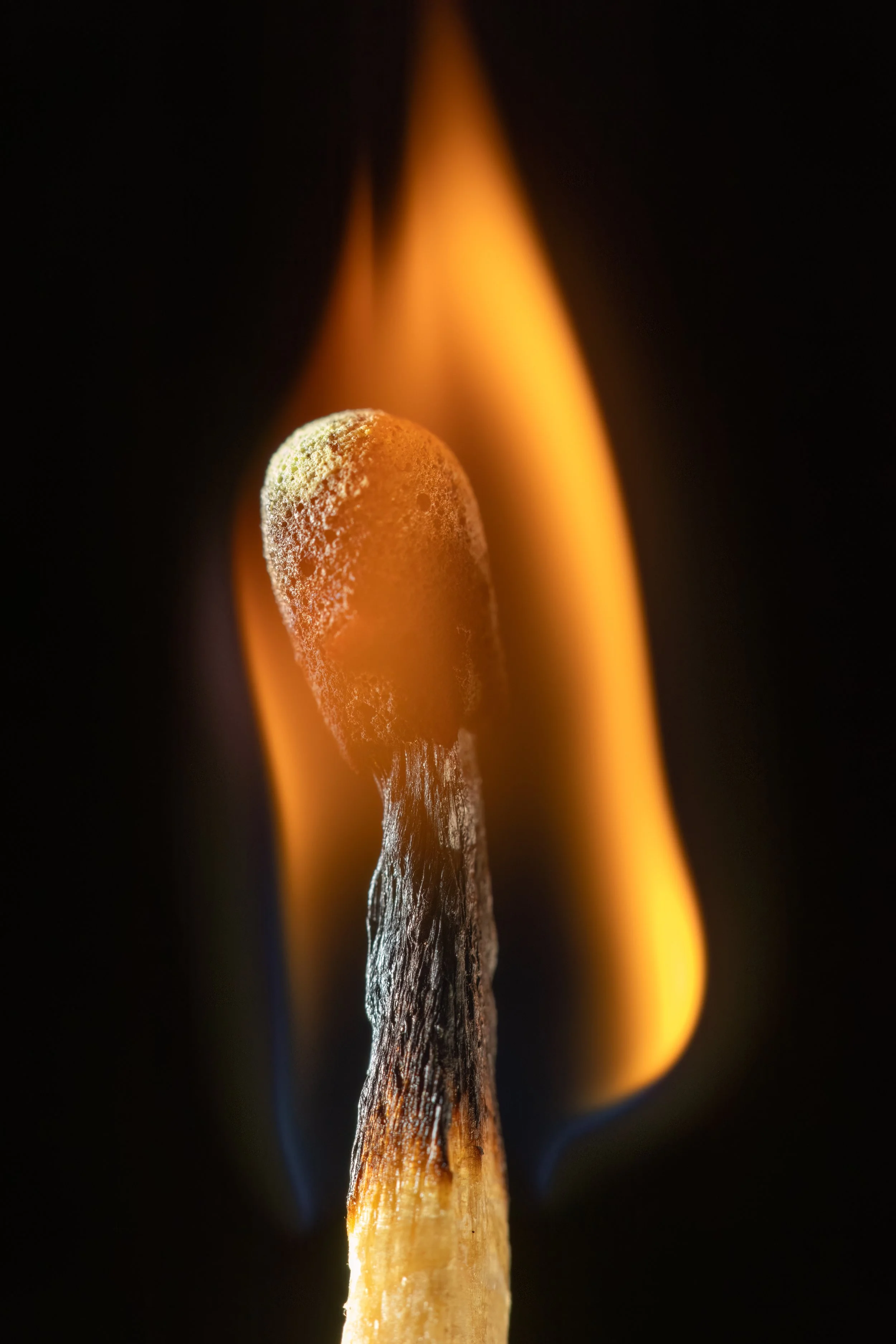 Torched. Washington, D.C. (May 2026)