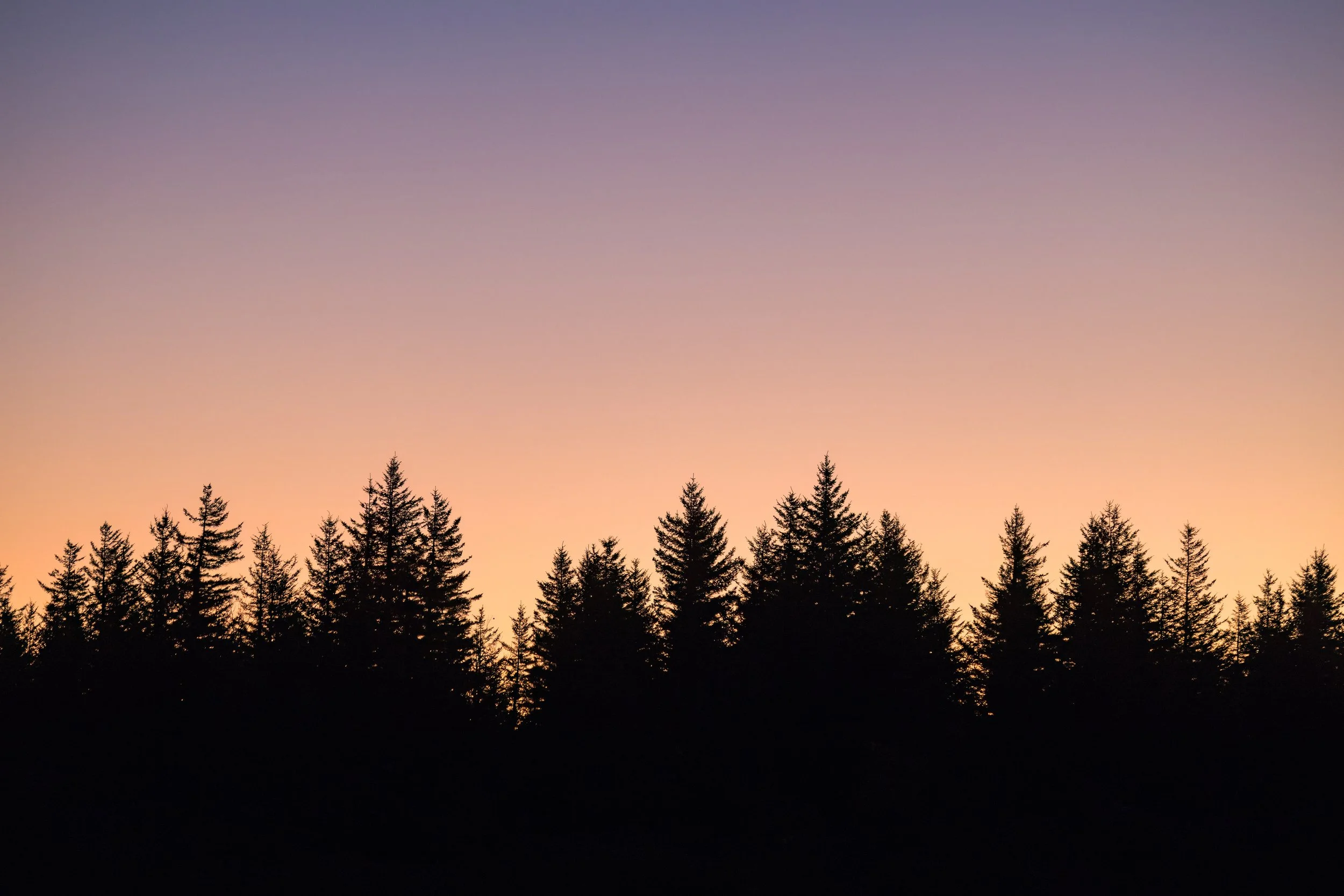 _P7A1553.JPG