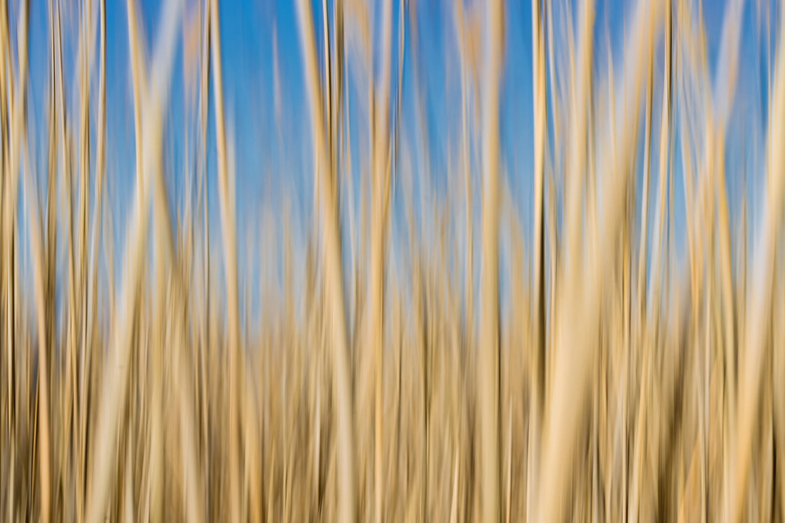 _P7A1979-Edit.jpg