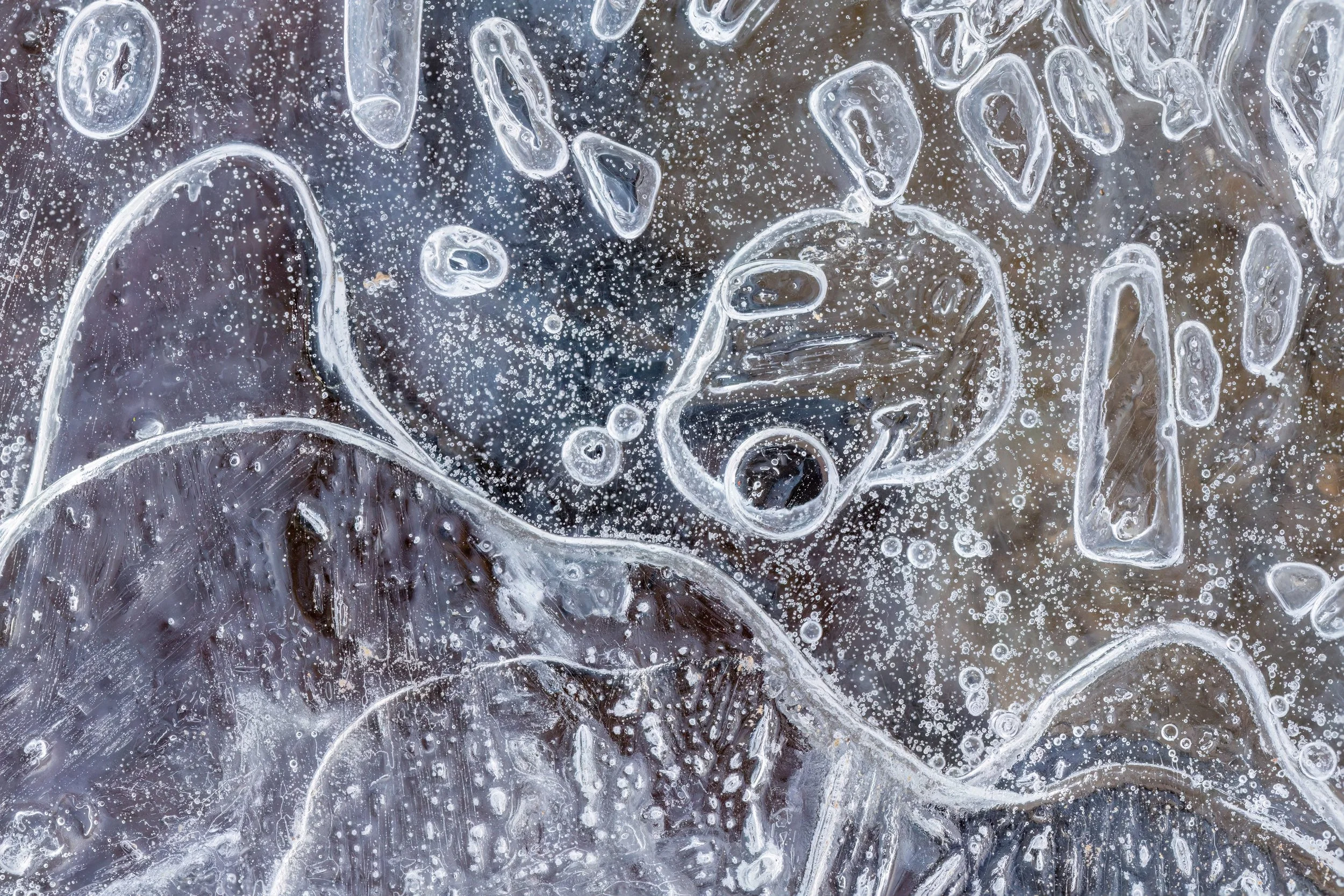 _P7A2089.jpg
