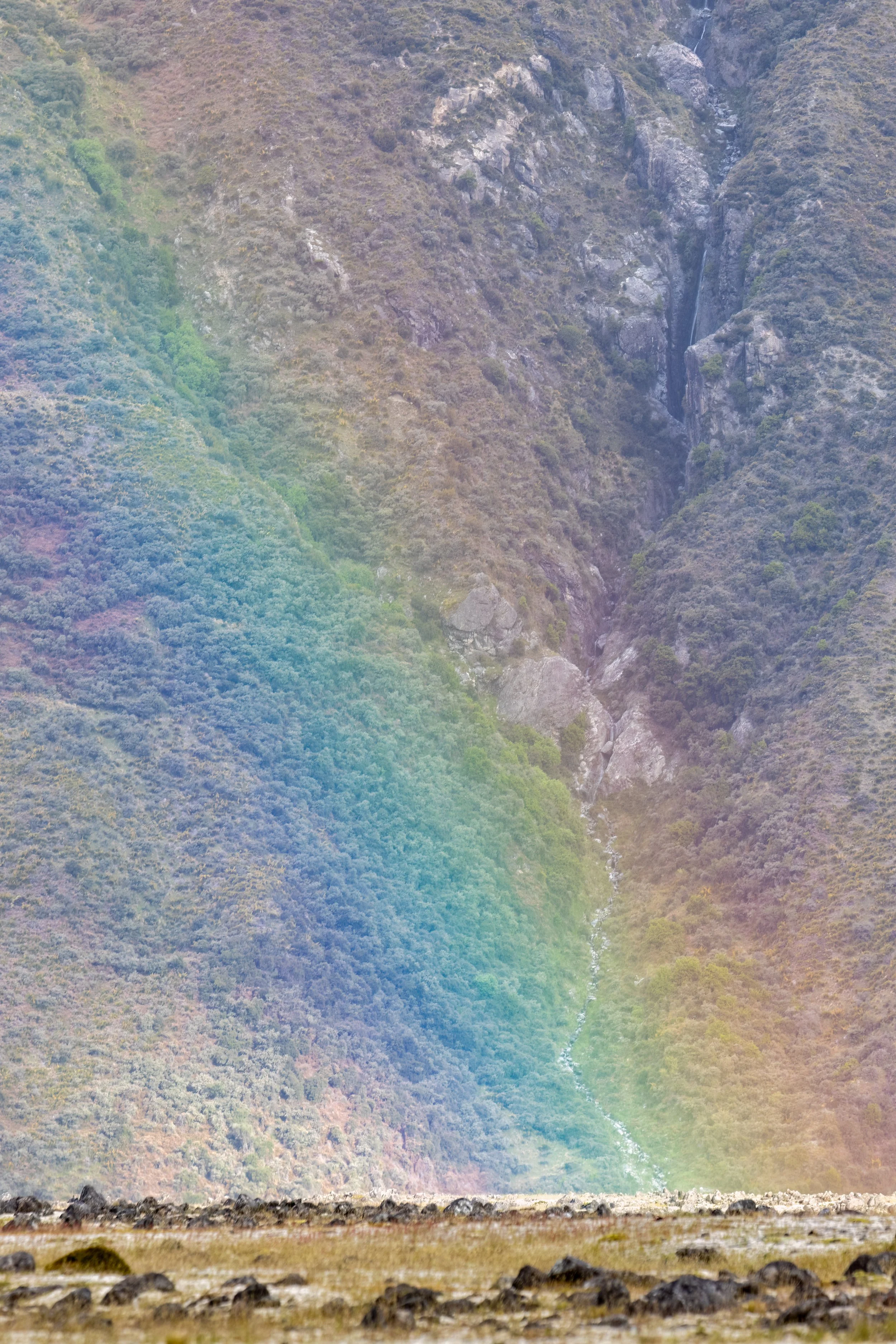 _P7A4533.jpg
