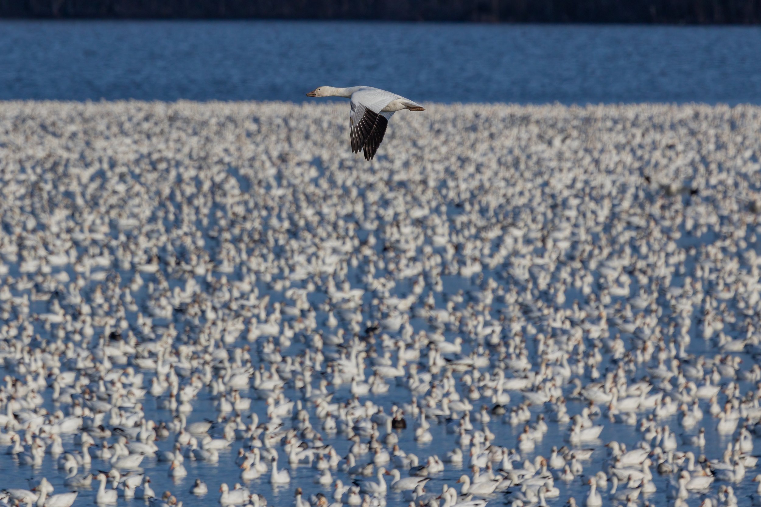 _P7A4969-Edit-Edit.jpg