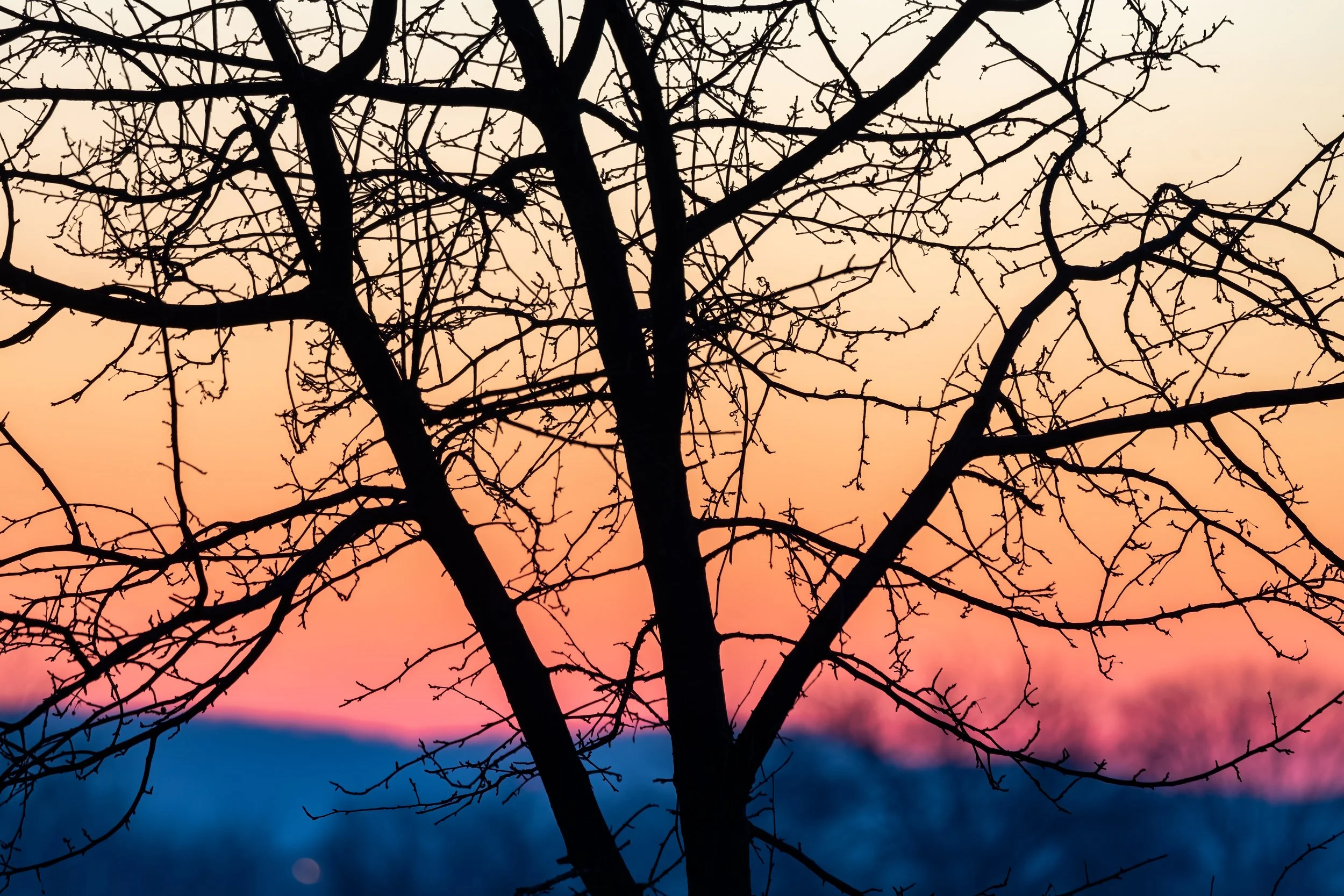 _P7A5296-HDR-Edit.JPG