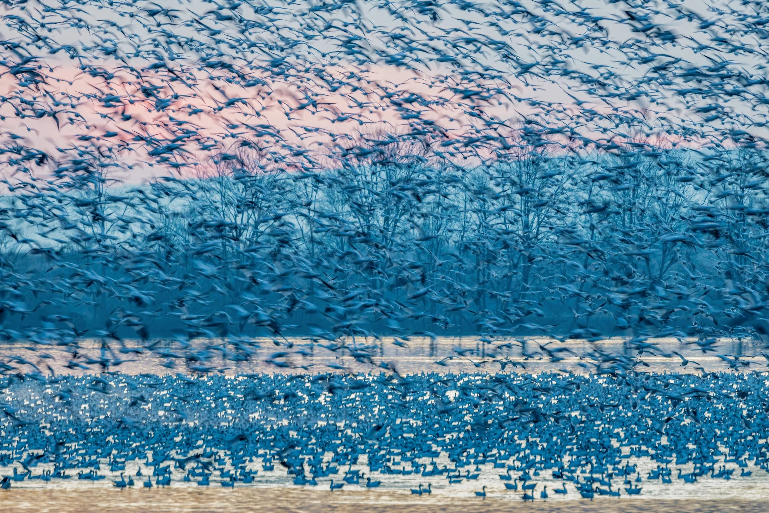 _P7A5372-Edit-Edit.jpg