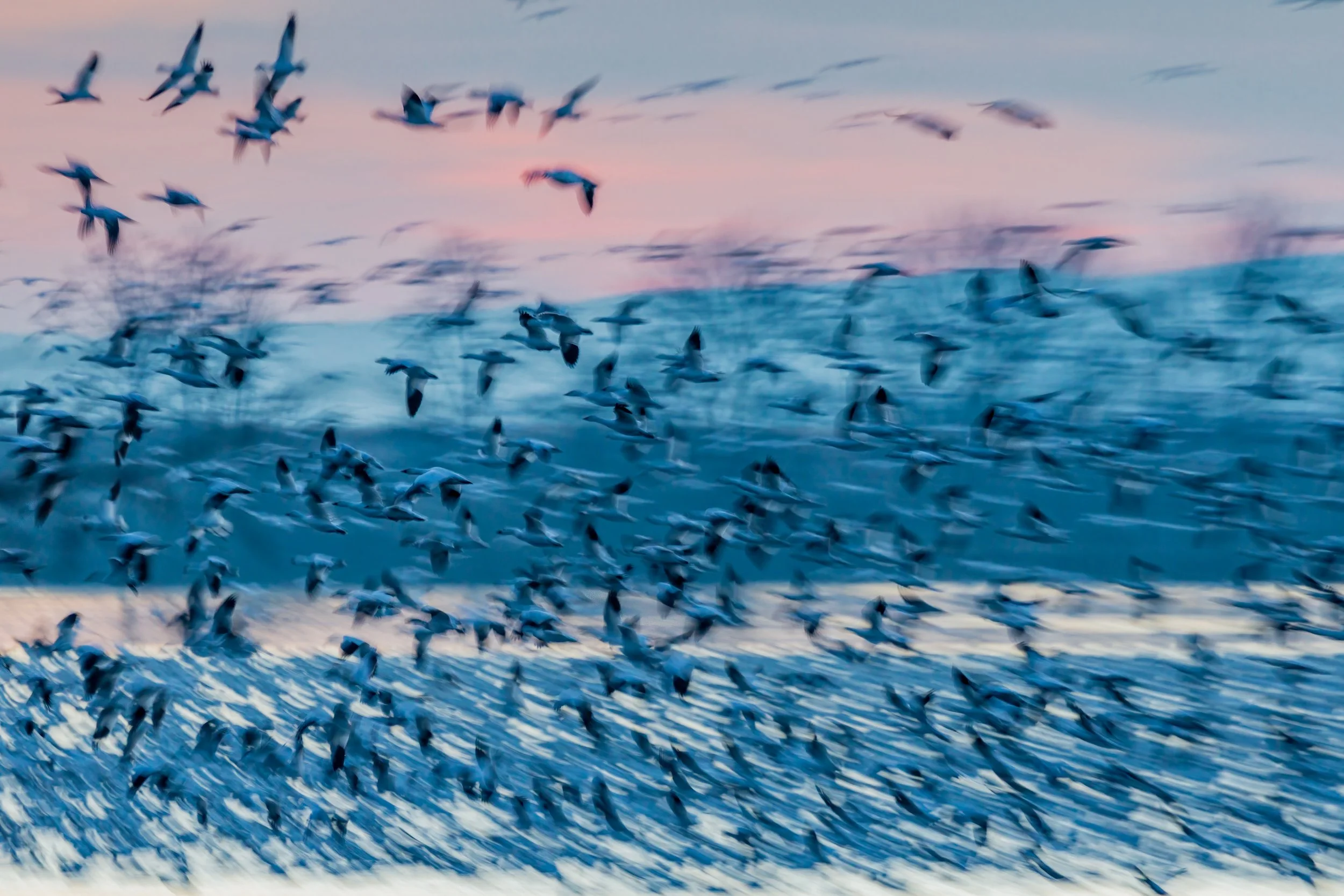 _P7A5398-Edit-Edit.jpg