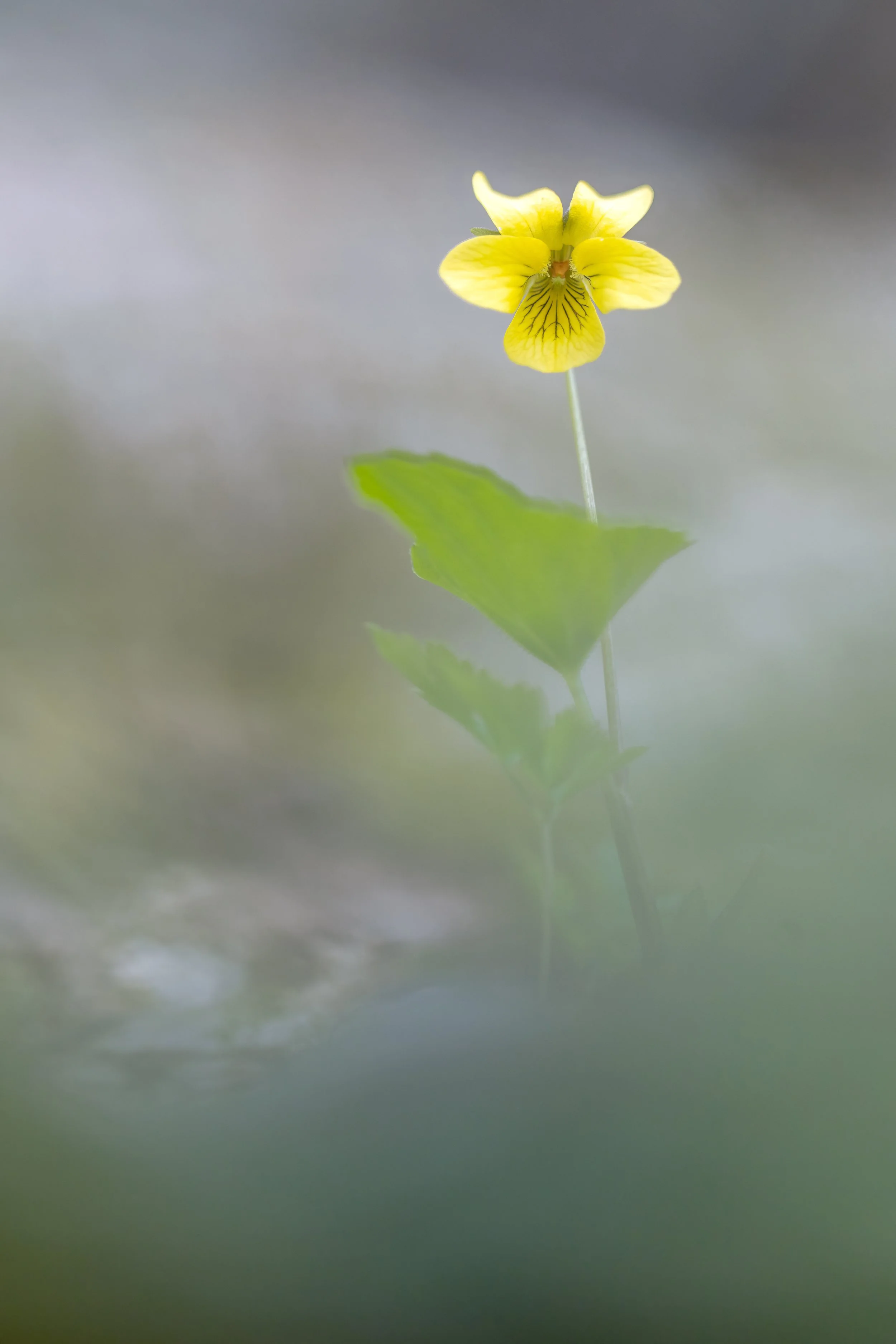 _P7A7906.JPG