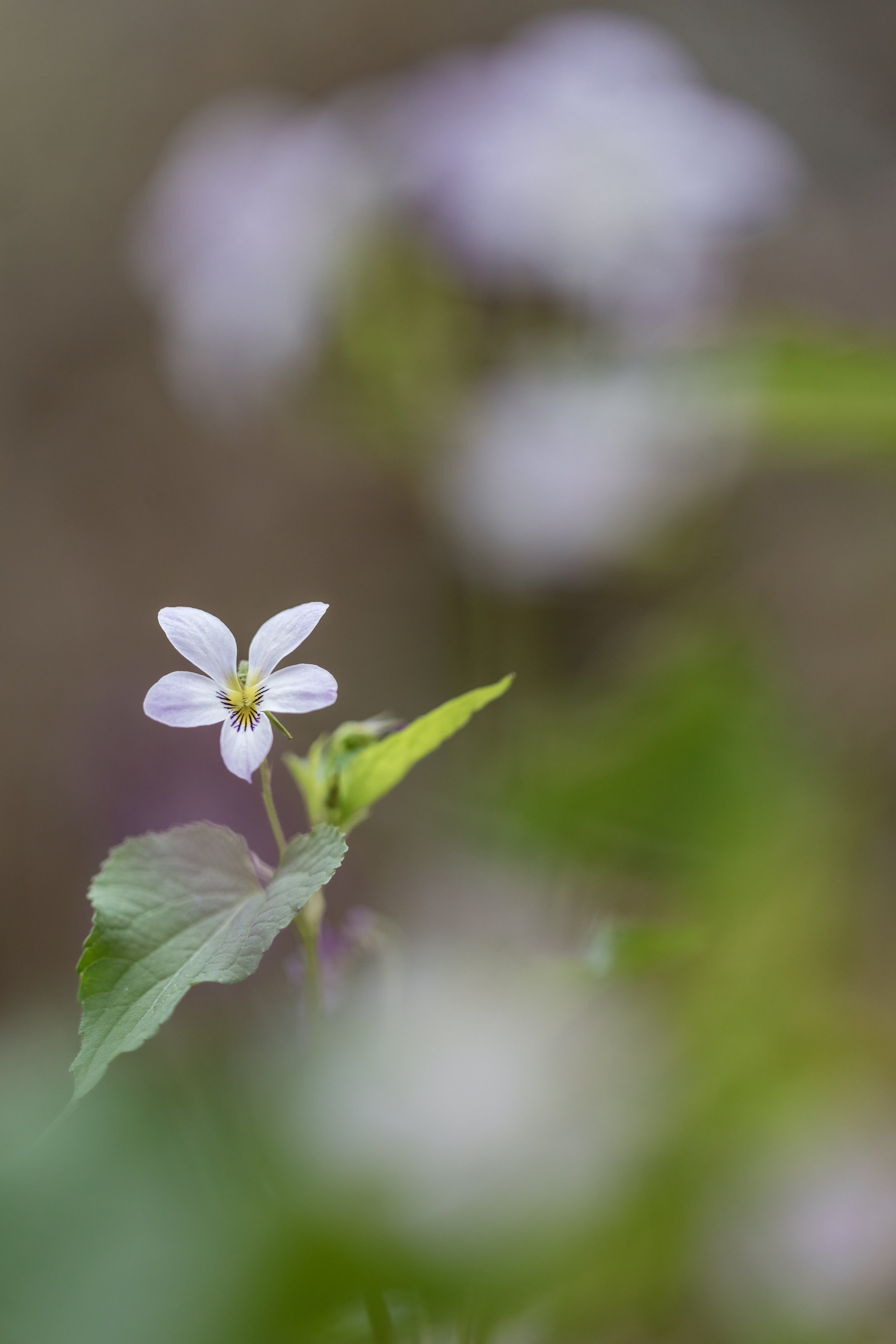 _P7A7922.JPG