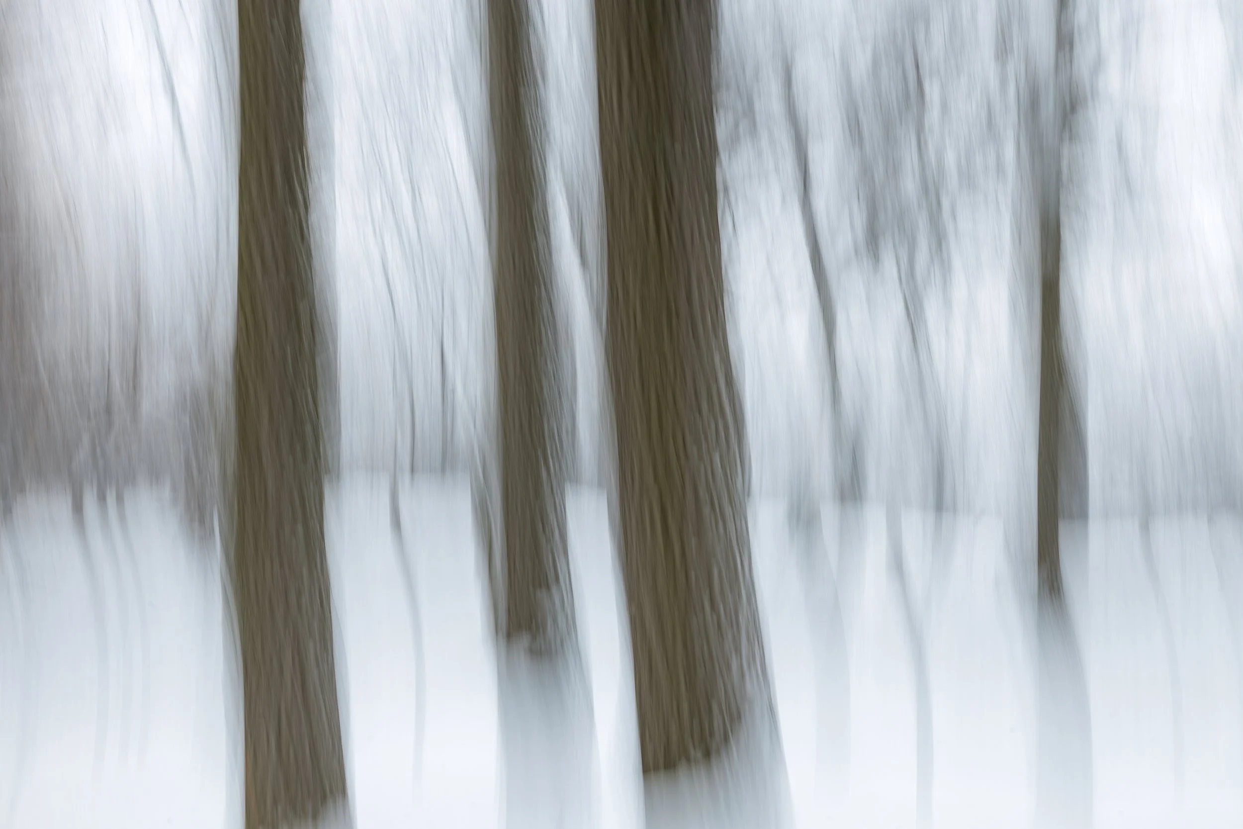 _P7A8029.jpg
