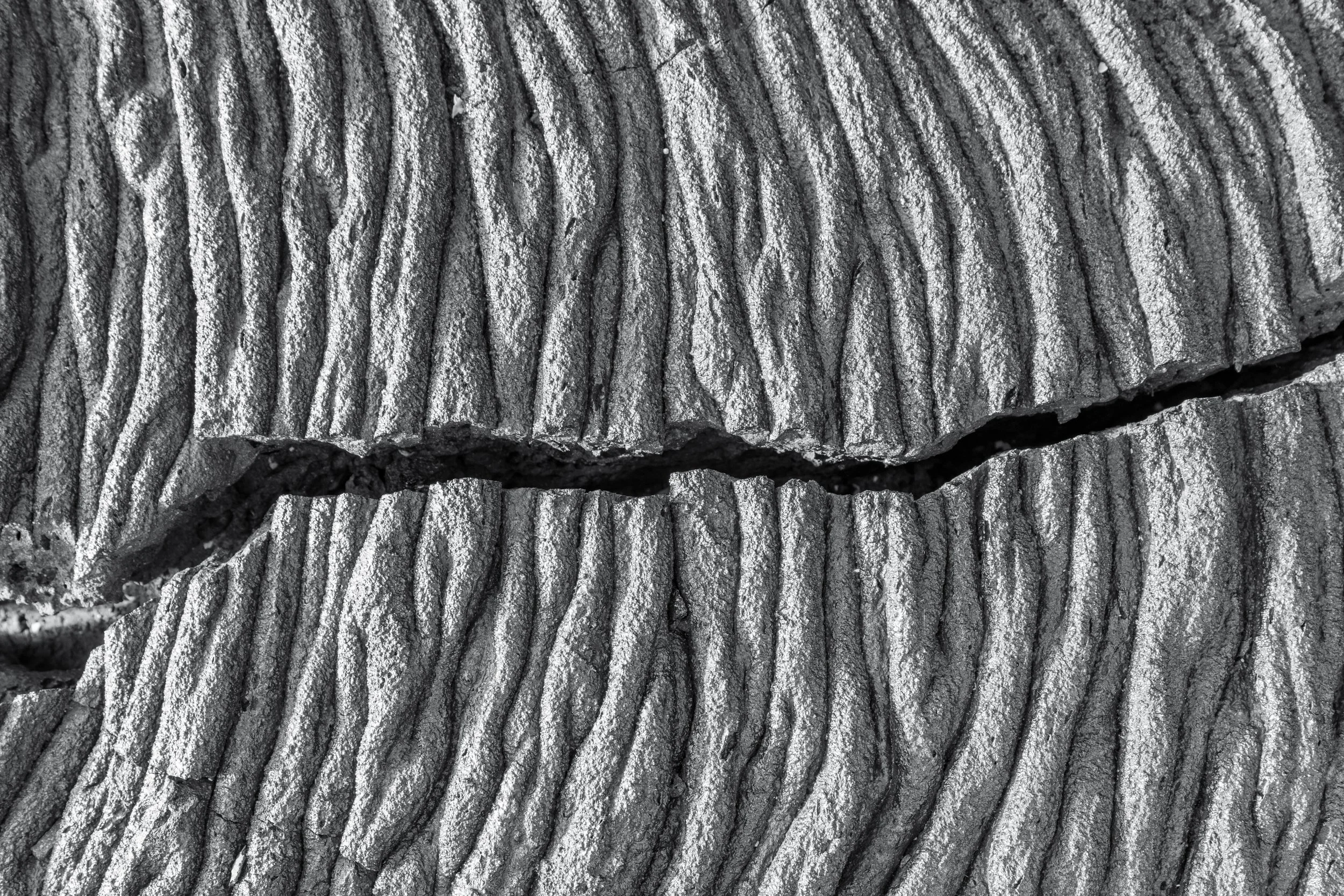 _P7A8858-bw.jpg