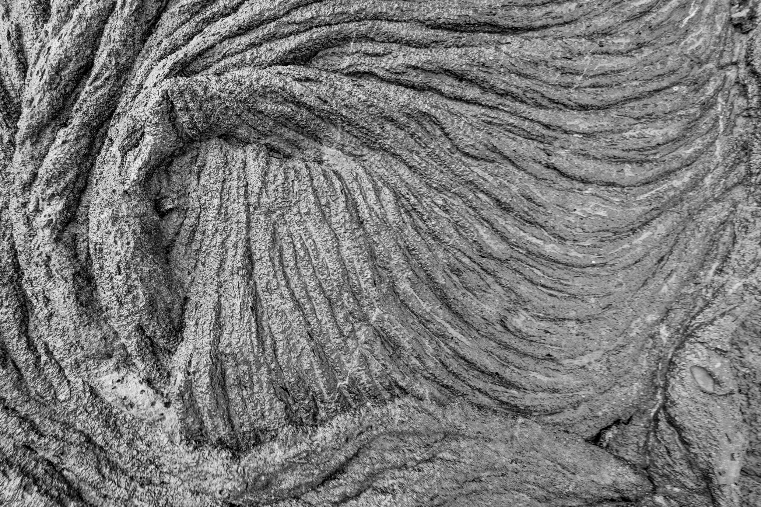 _P7A8932-bw.jpg