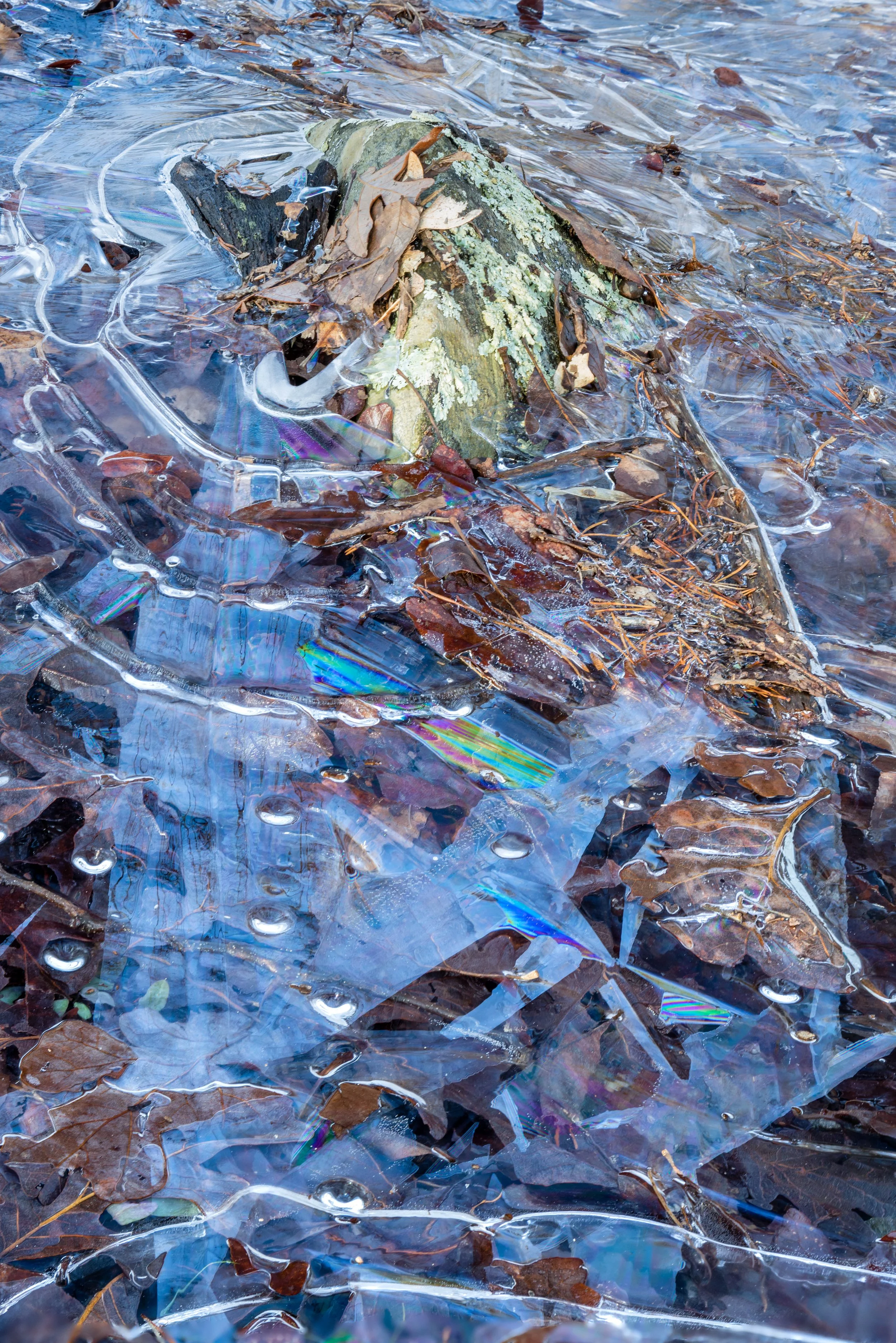 8P7A3759-Edit.jpg