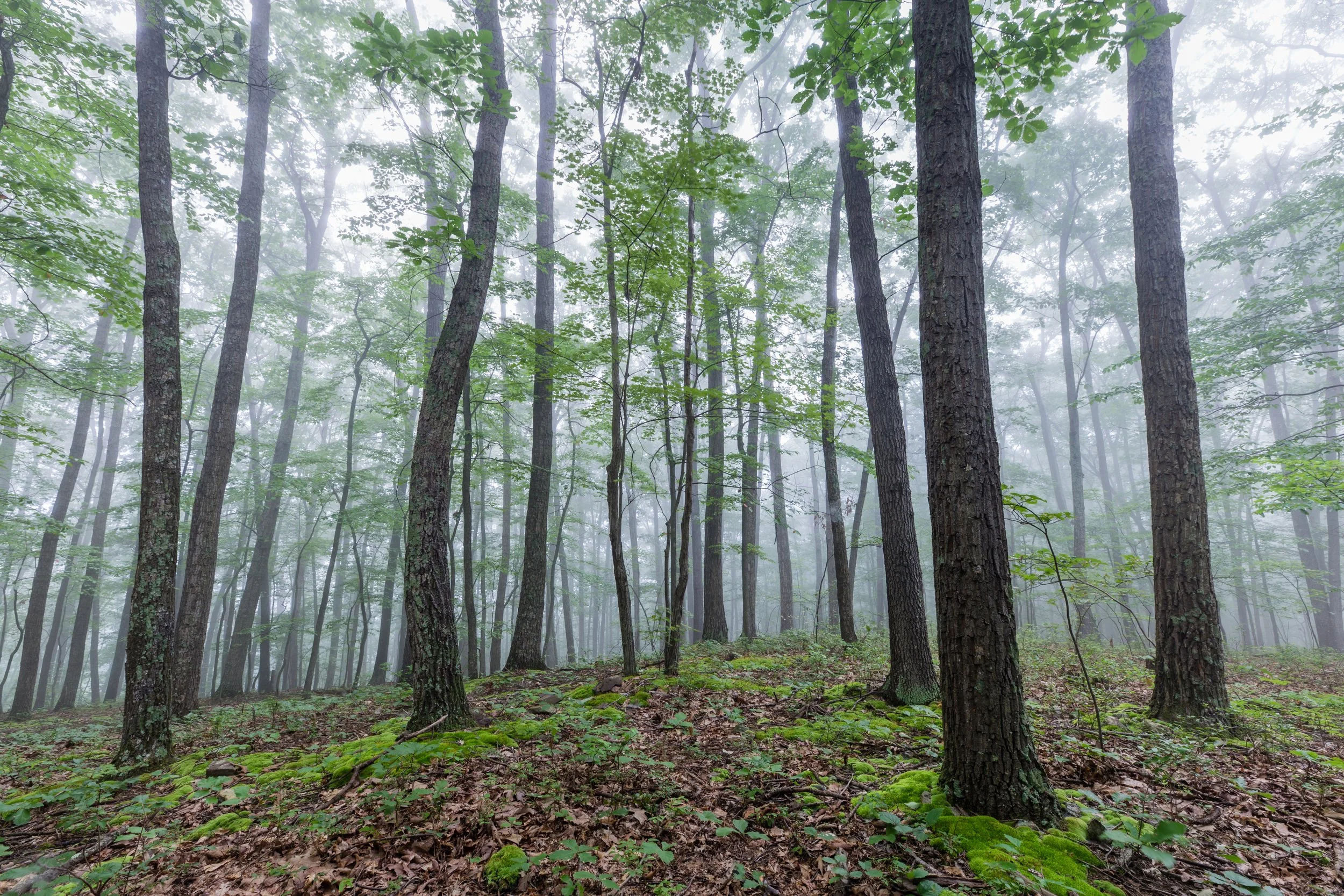 IMG_4317-HDR.jpg