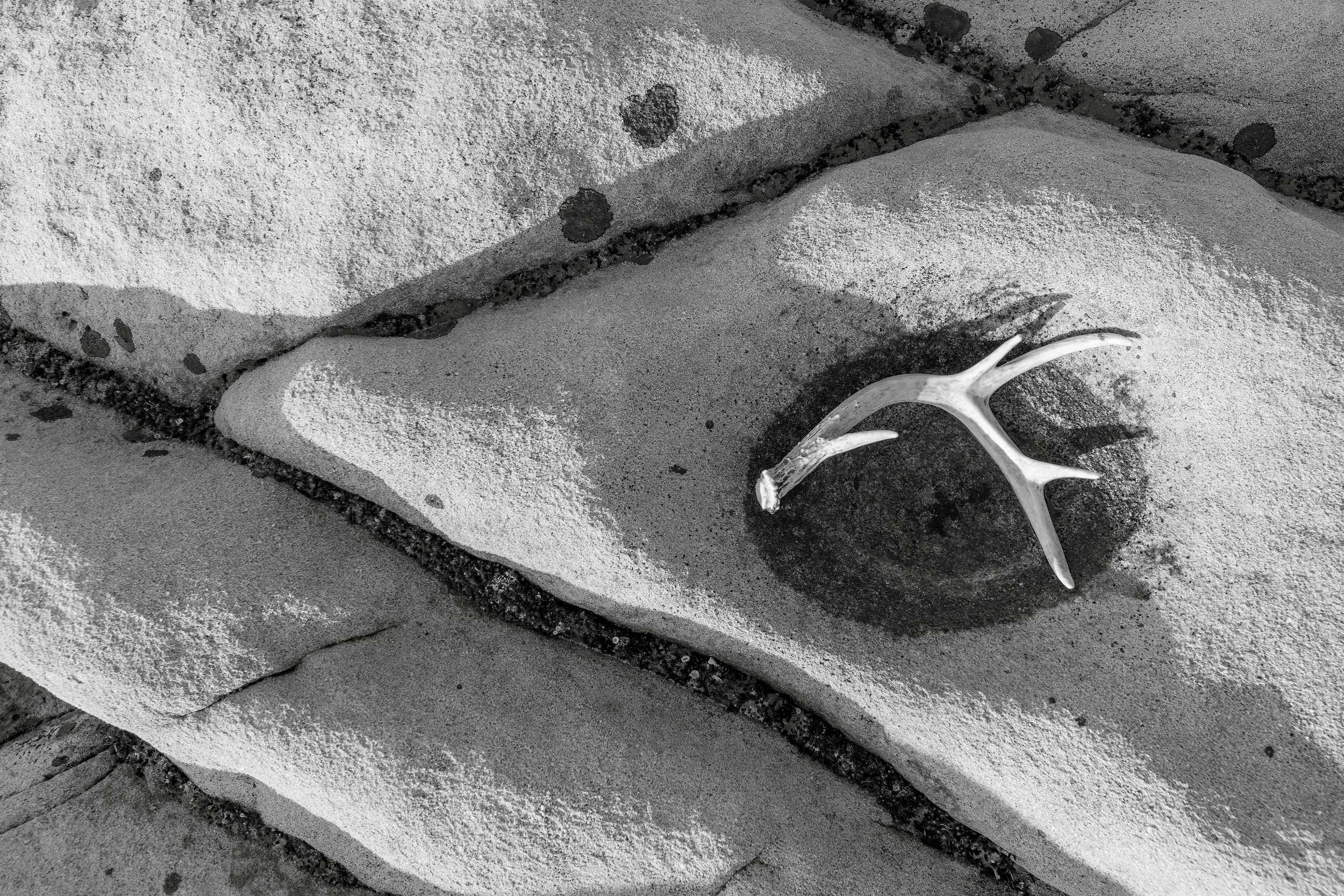 _P7A2049-HDR-Edit-Edit-2 copy.jpeg
