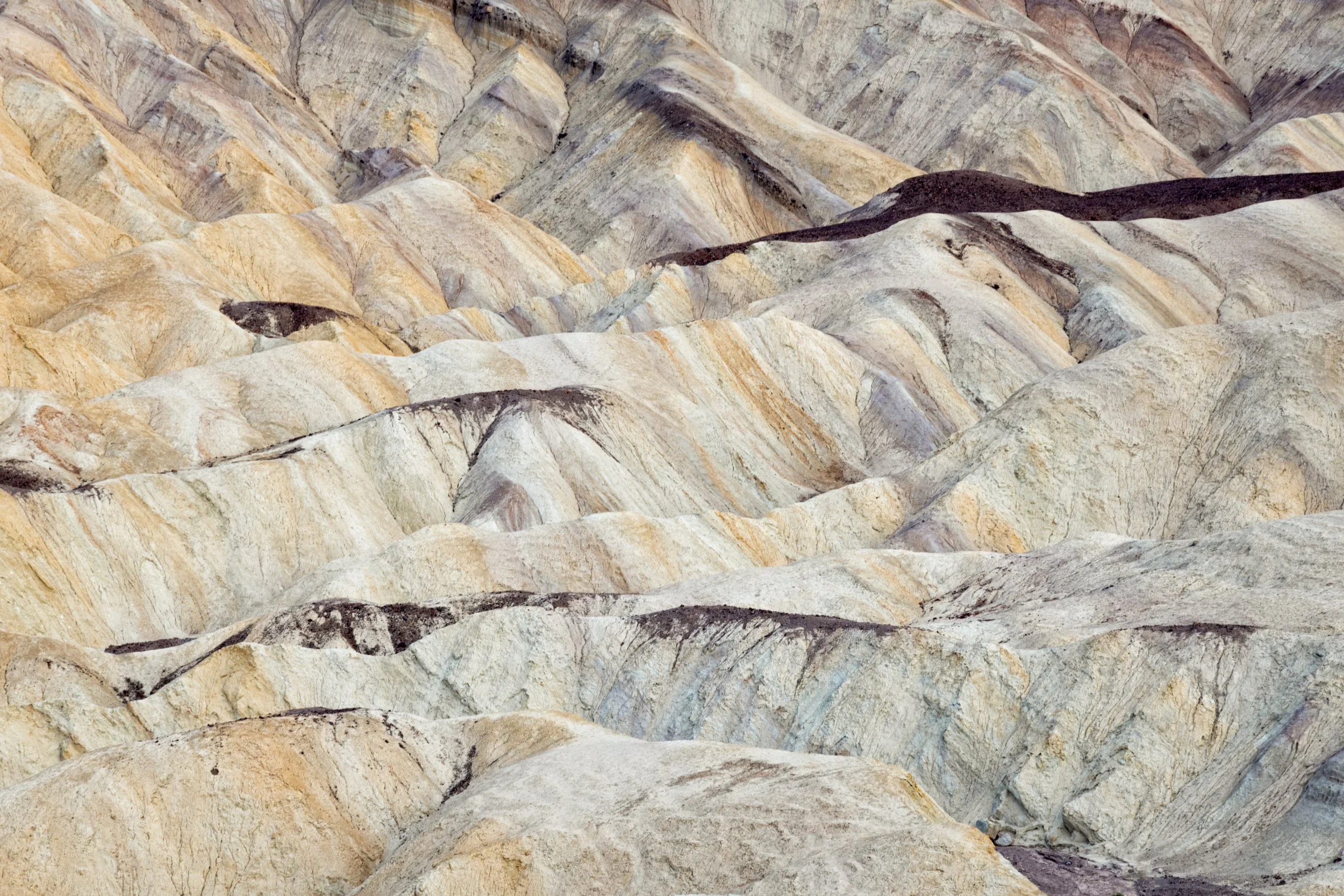 _P7A6723-Edit.jpg
