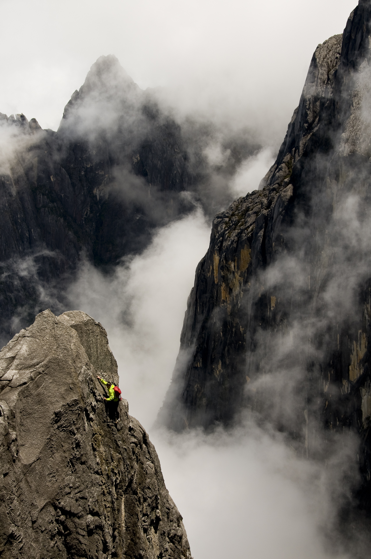 gallery alex honnold