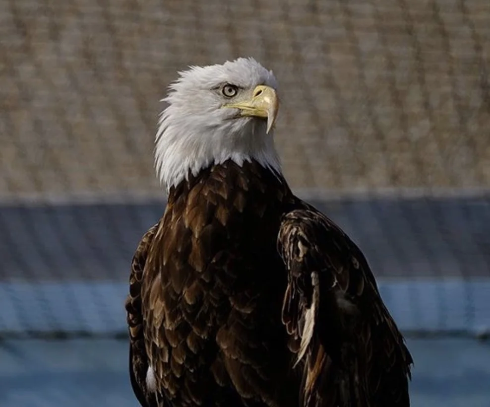 5FB878DF-98B3-43FD-93E6-57820A71FBF3.jpeg