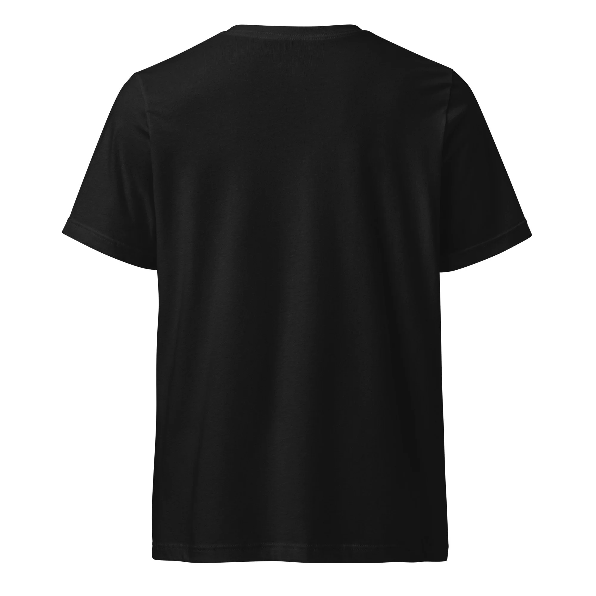 unisex-v-neck-tee-black-back-6abd204425f39.jpg