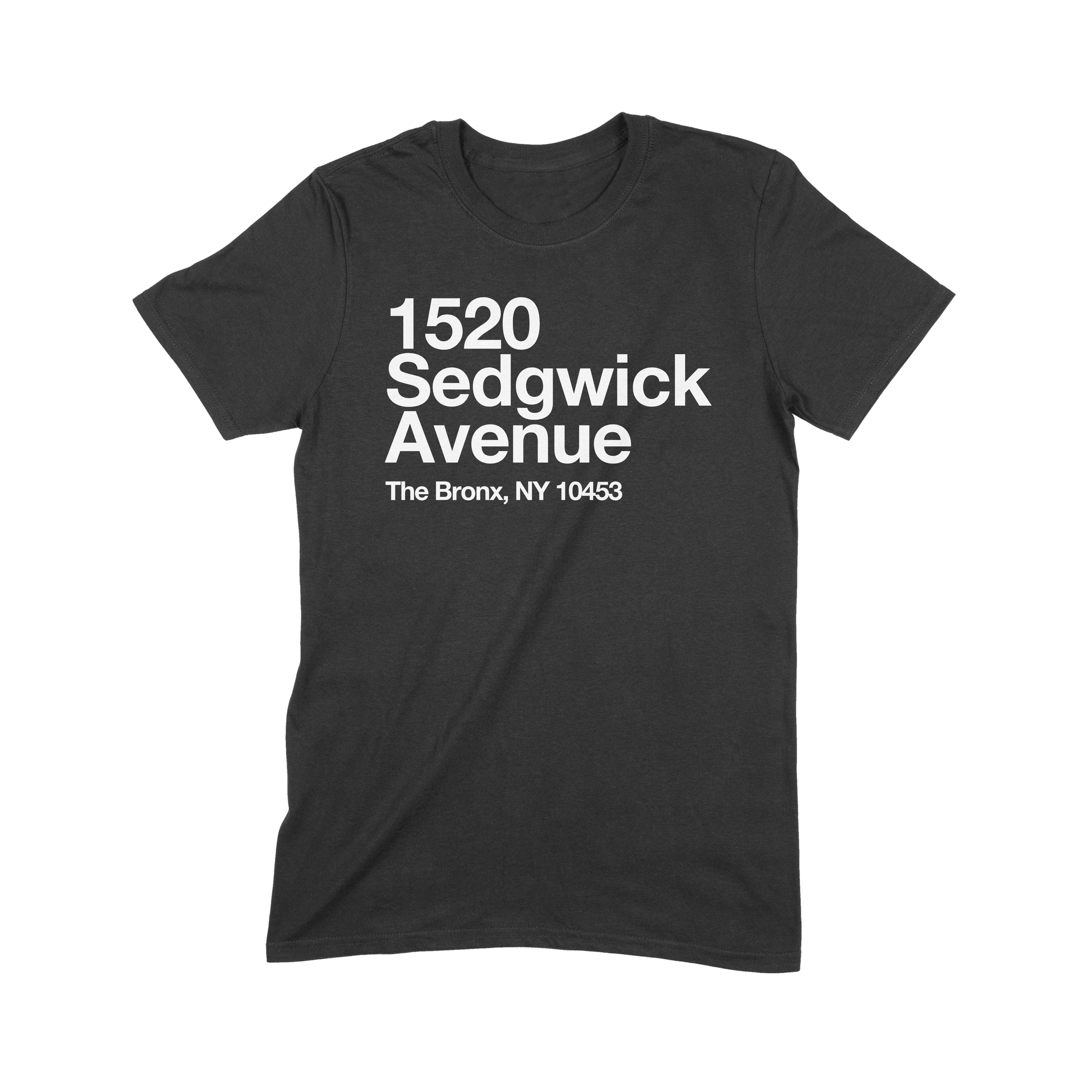 birthplace of hip hop shirt.png