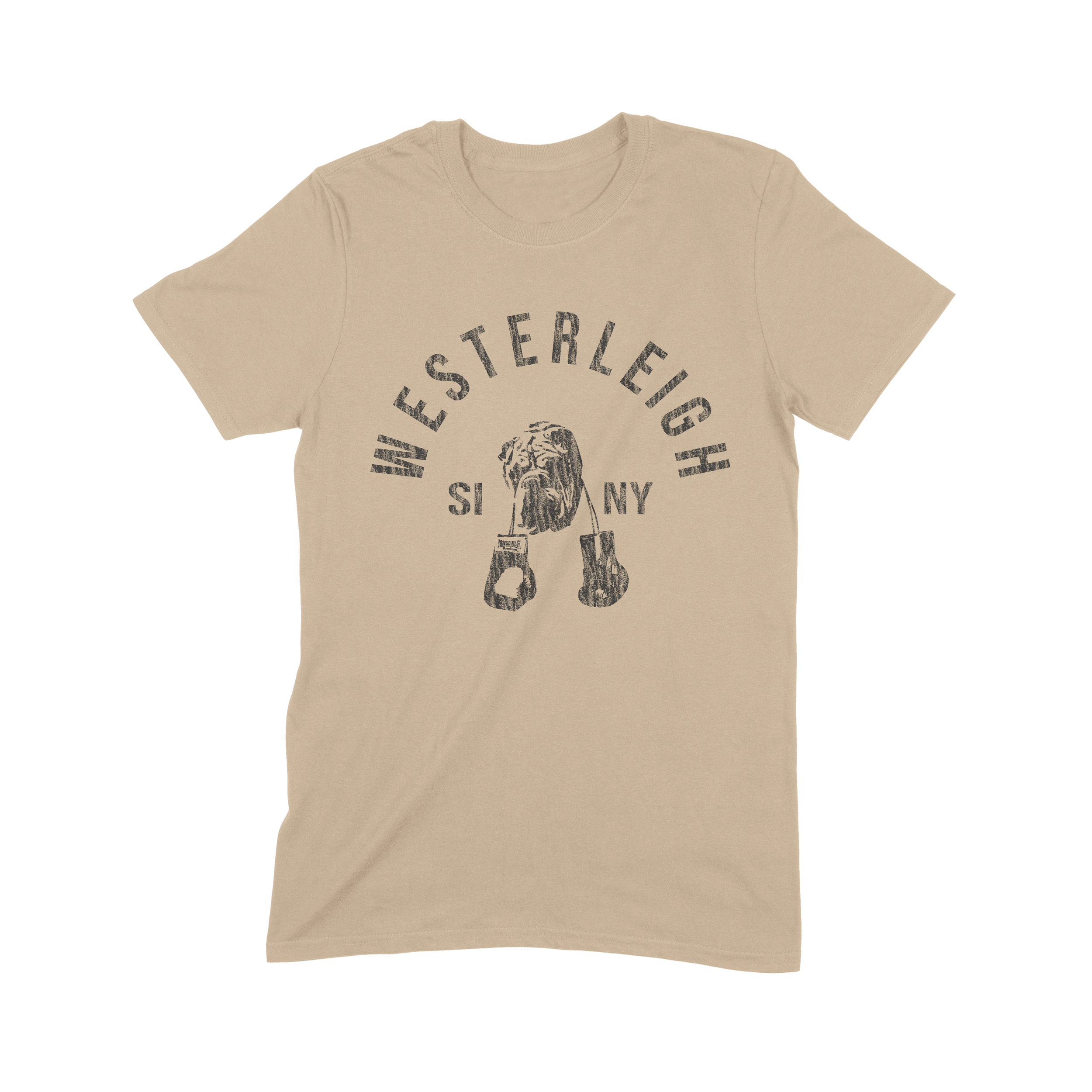 Heather Tan sublimation.png