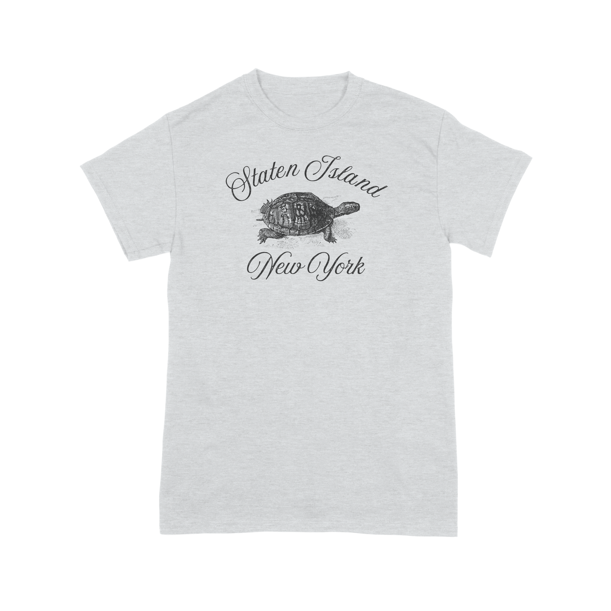 Staten Island Box Turtle T-Shirt.png
