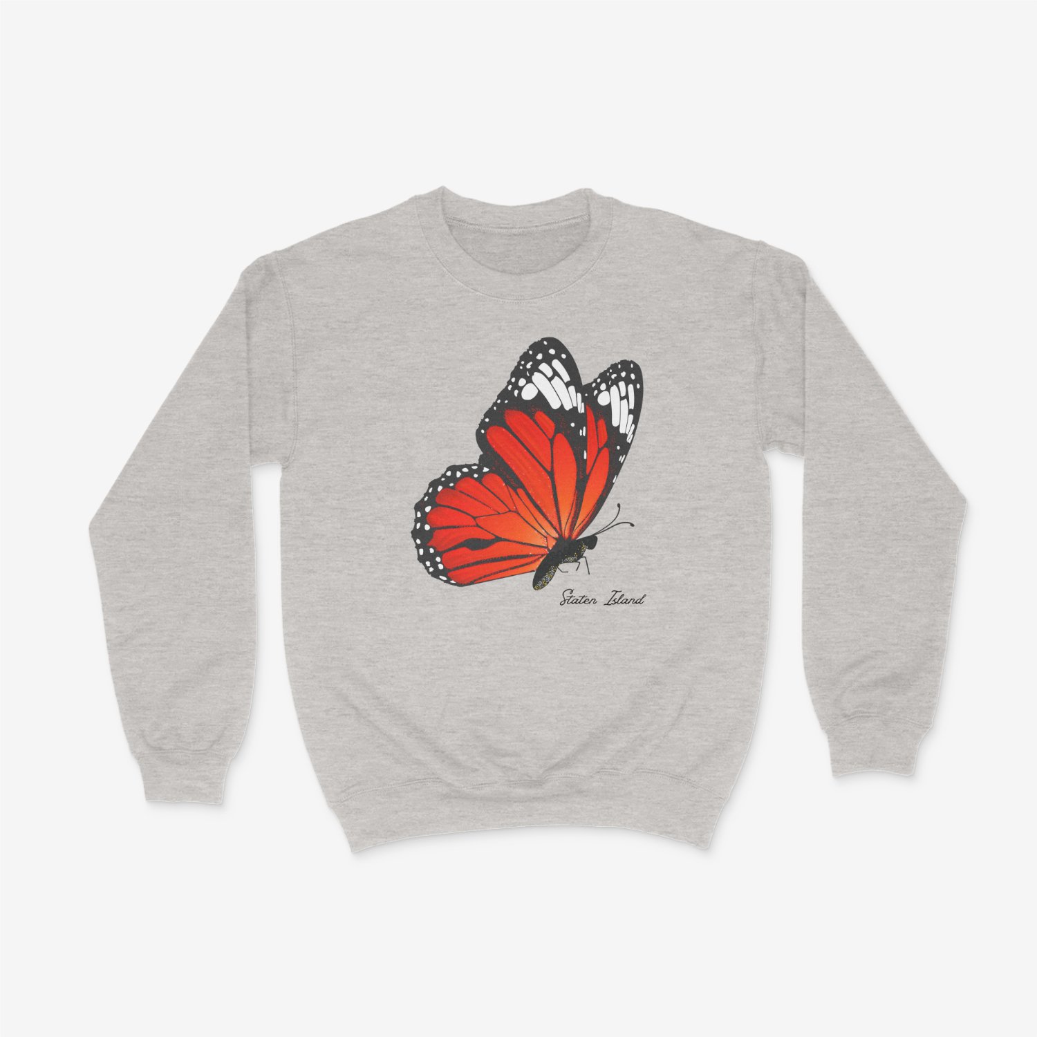 Butterfly.jpeg