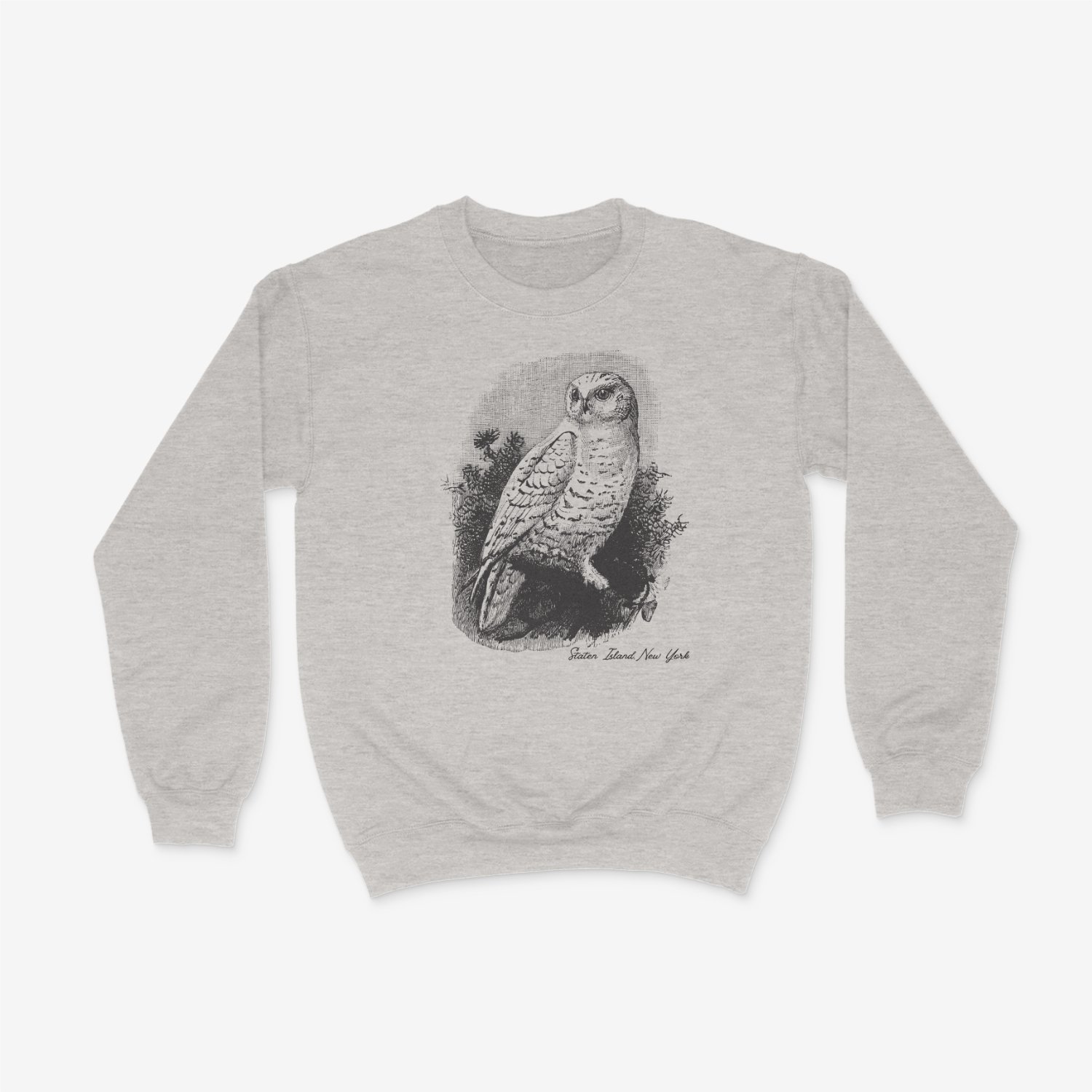 owl crewneck.jpeg