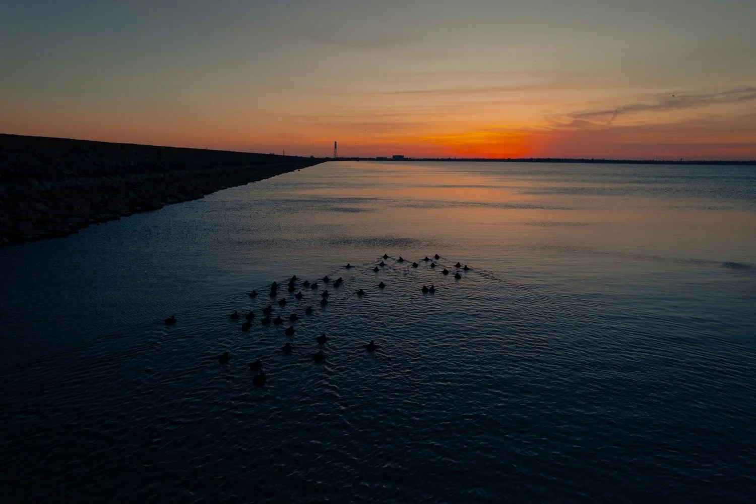 drone-nature-lifestyle-lake-hefner-sunrise-geese.webp