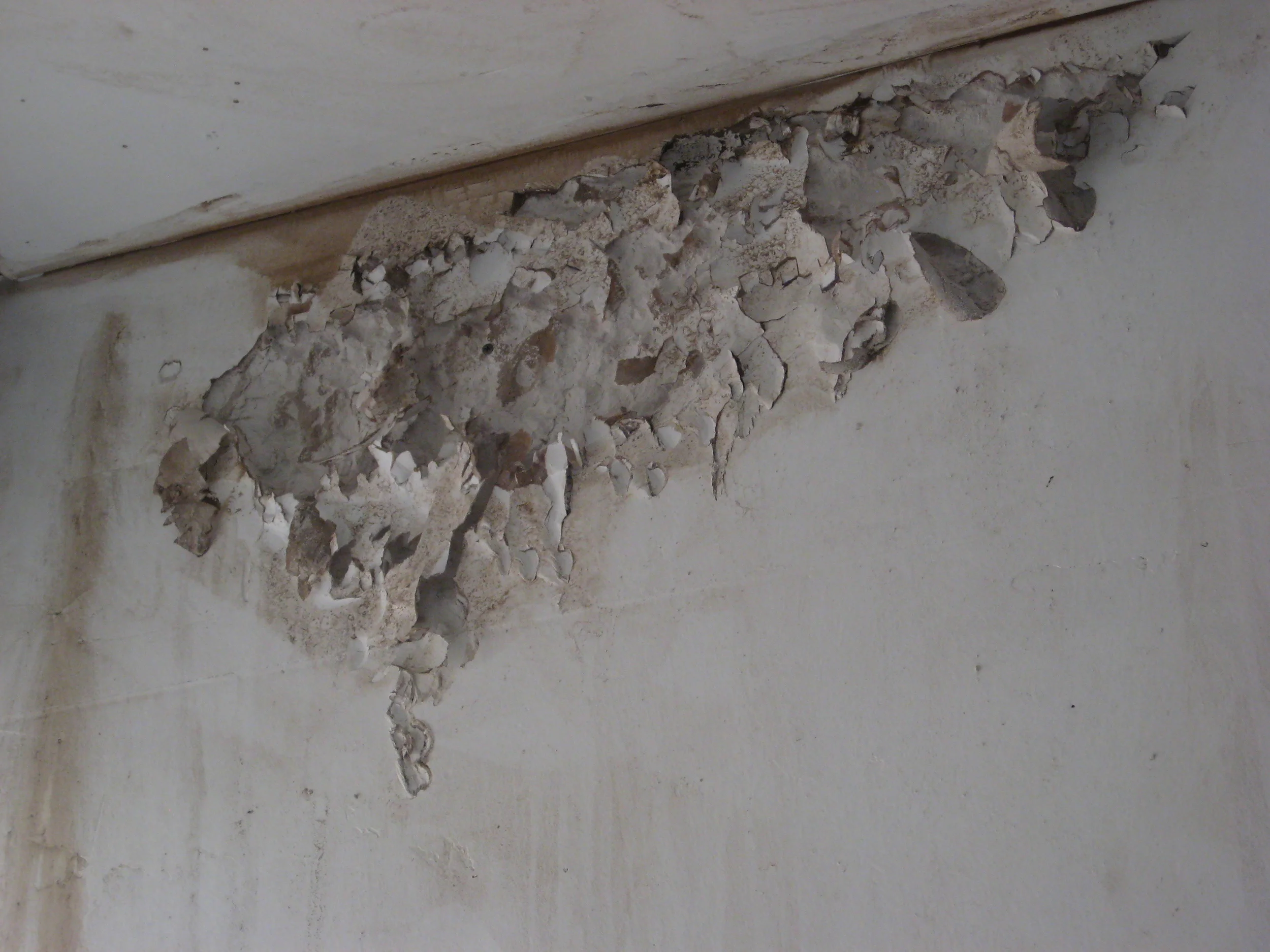   Bright White Underground   Country Club, Los Angeles, CA  2010  Commissioned for Jonah Freeman and Justin Lowe&nbsp; 