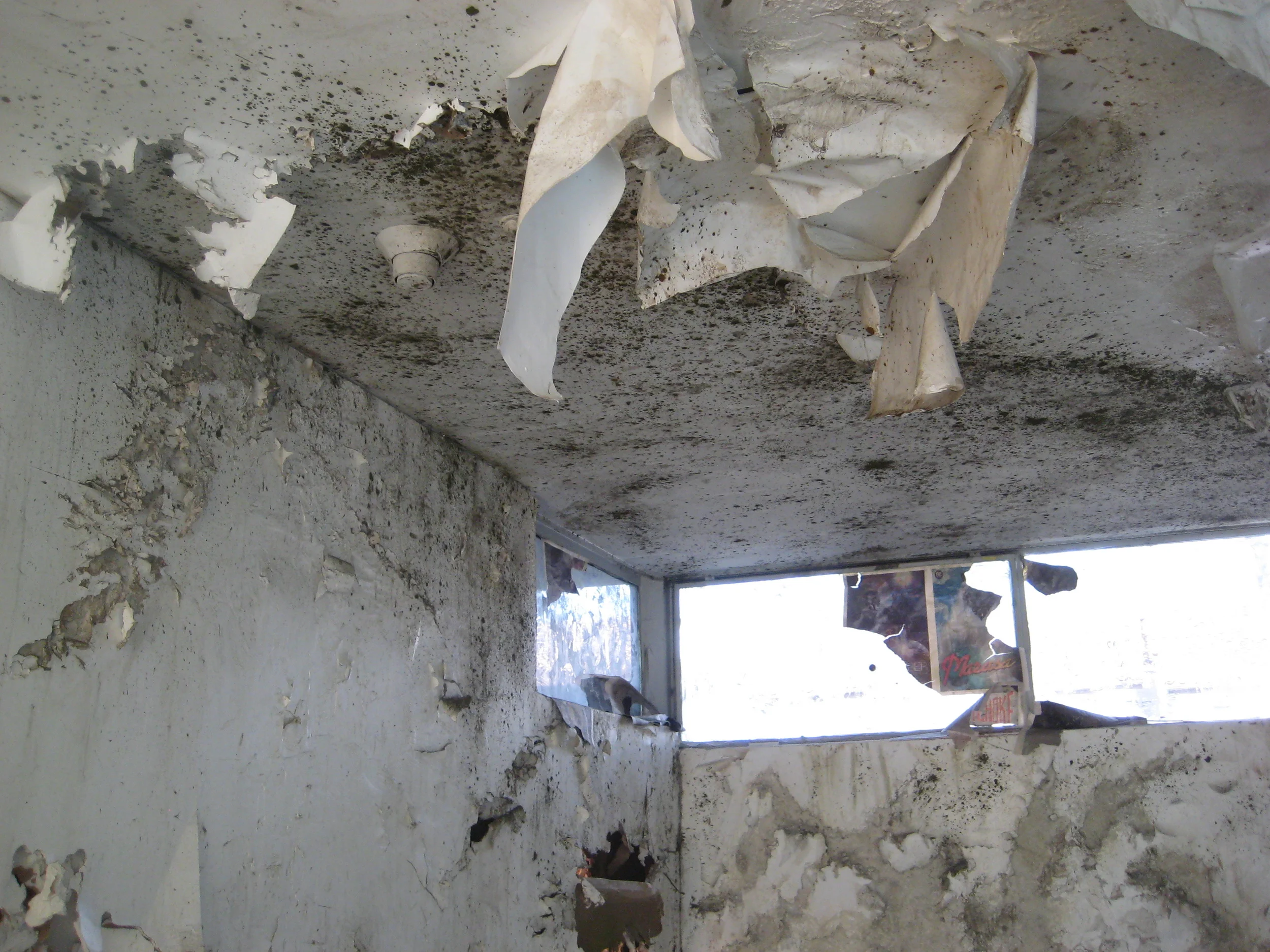   Bright White Underground   Country Club, Los Angeles, CA  2010  Commissioned for Jonah Freeman and Justin Lowe&nbsp; 