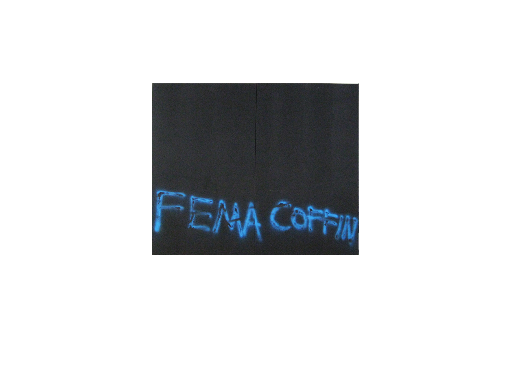  Title:  FEMA COFFIN  Date: 2014 Materials: Semi-gloss latex paint, flat latex paint, spray enamel, wax, universal pigments on canvas Dimensions: 72 in x 64 in (36 in x 64 in x 2 panels)  Dennis Hoekstra 