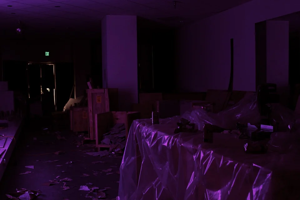  HOEKSTRA + OLMSTED  The Betty Roberts Room  Installation View  Date: 2012    