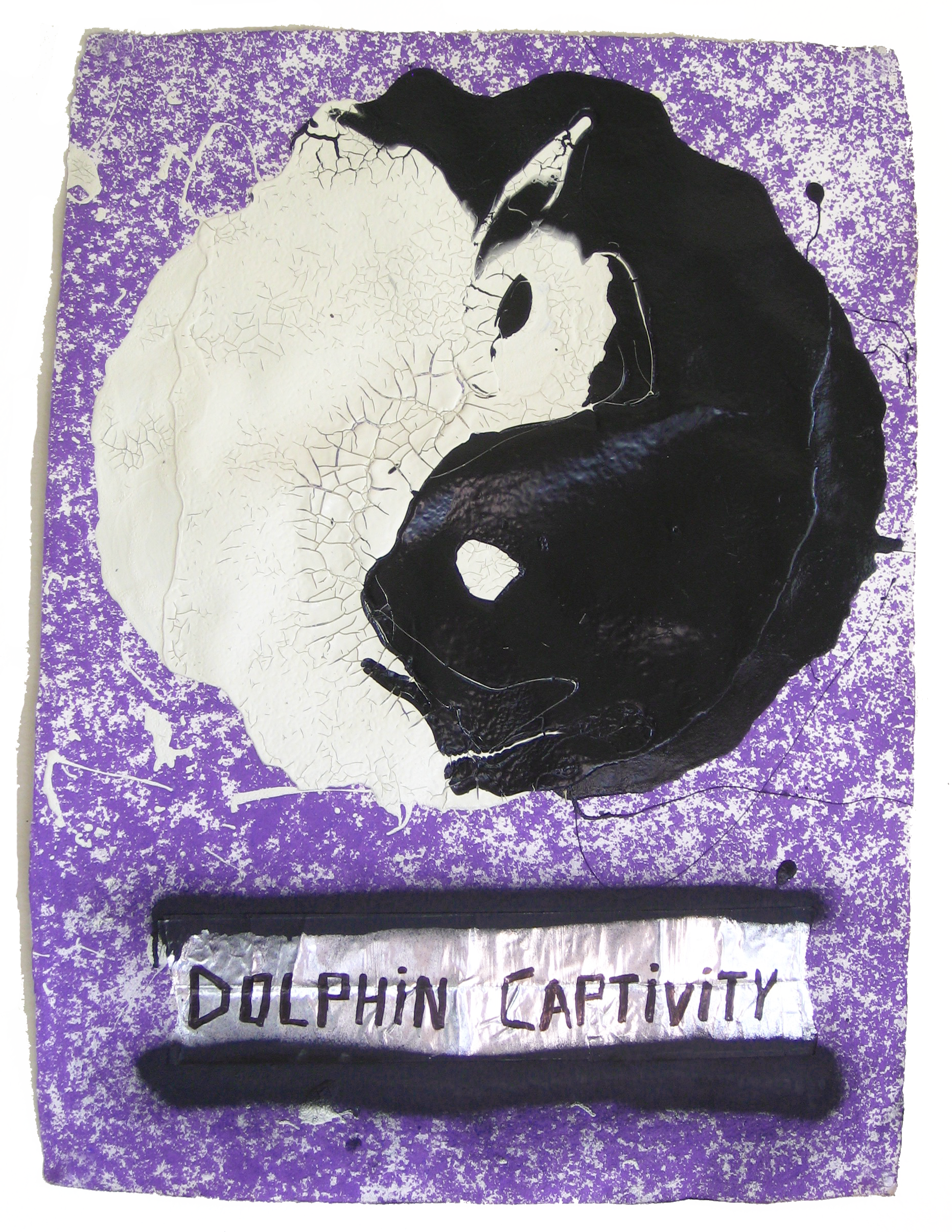 Dolphin Captivity