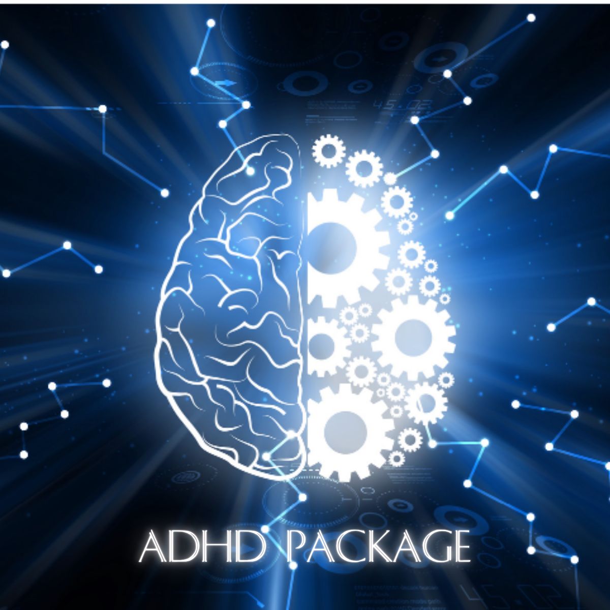 Silberman Graphics-2.png