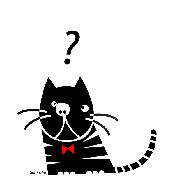 curious-cat.jpg