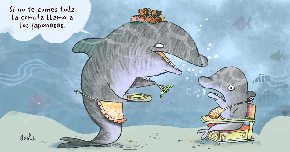 dolphins.jpg