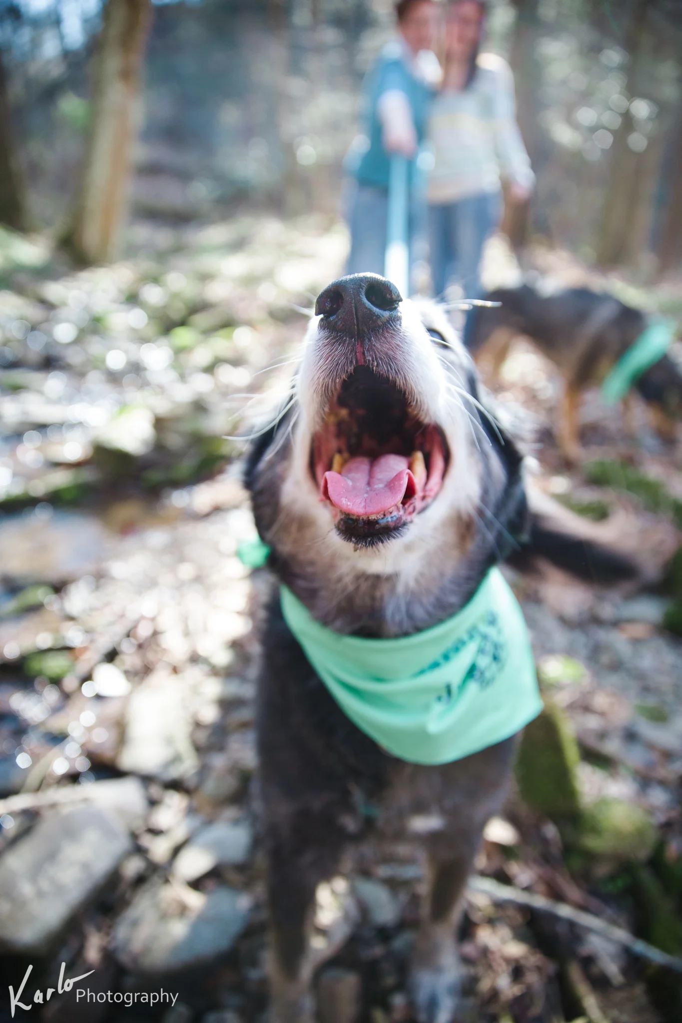 Karlo Photography - Sarah & Jonel Blog 0004.JPG