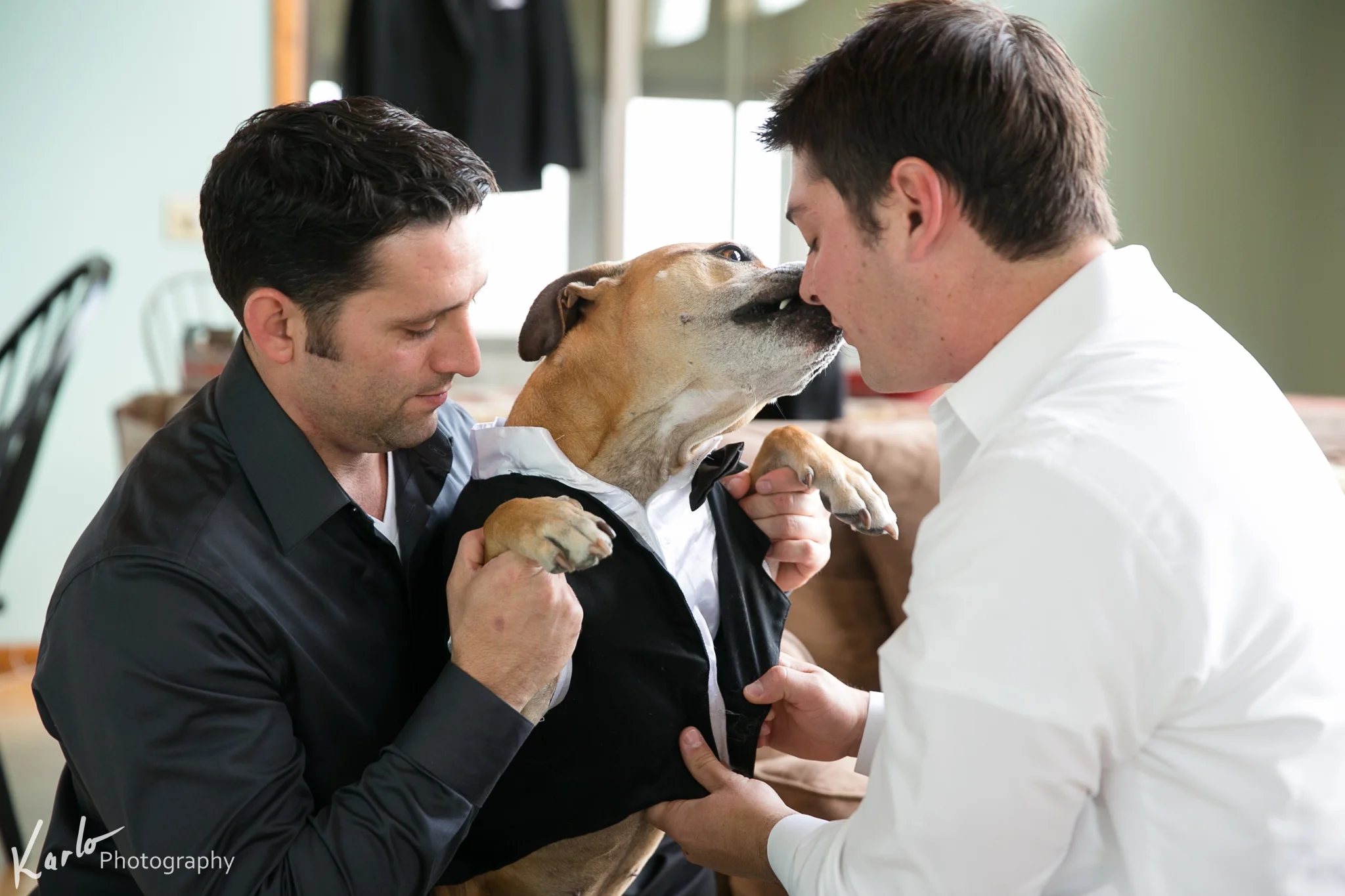 Karlo Photography - Ashley & Tony (Print) 0021.jpg