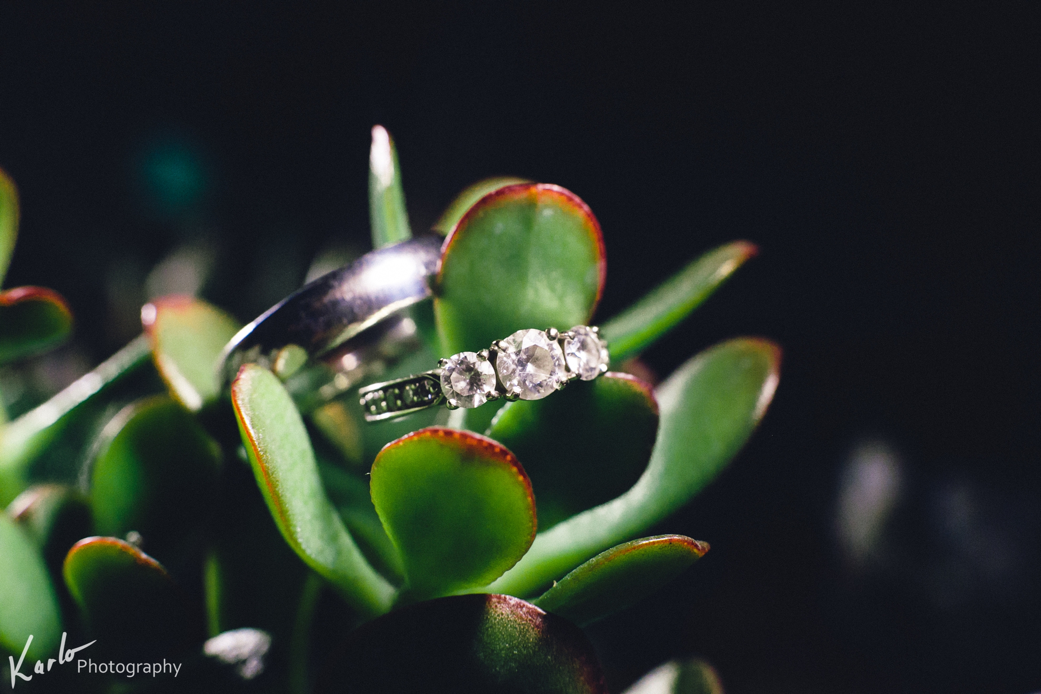 Karlo Photography - Ashley & Tony (Print) 0084.jpg