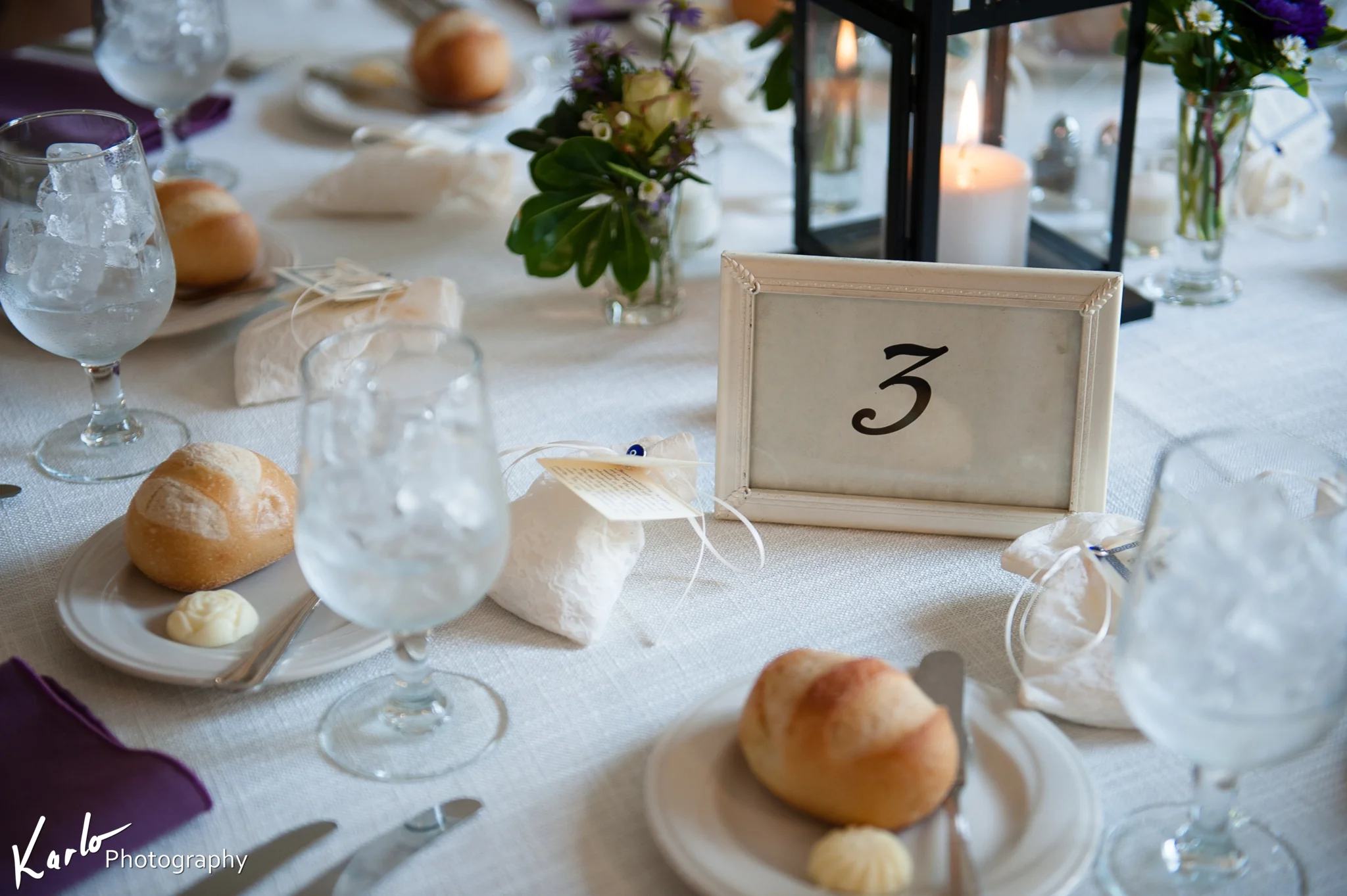 karlo wedding photographer malvern hilltop house devon pa pennsylvania 0019.JPG