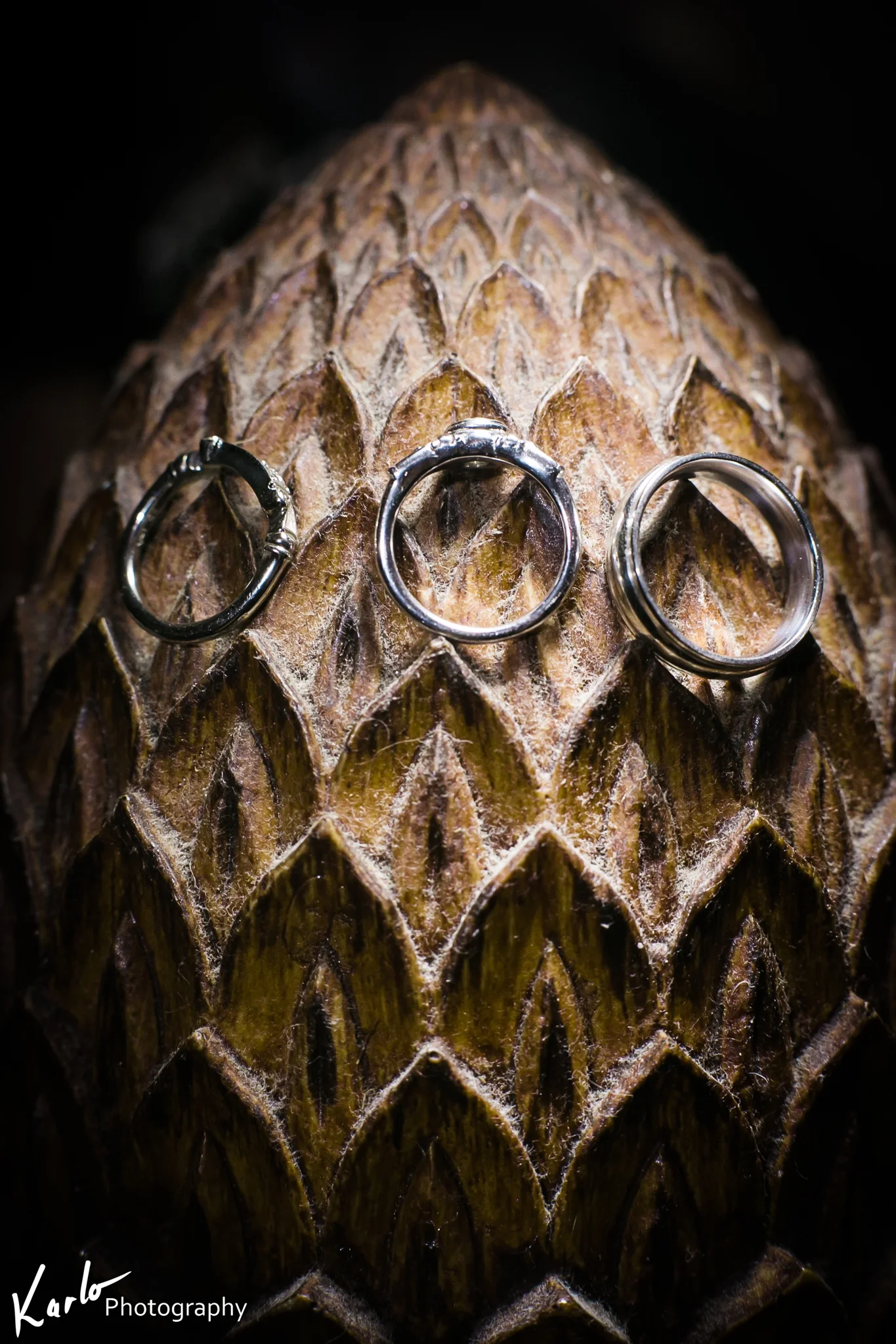 priestley savidge house wedding photographer karlo 0028.JPG