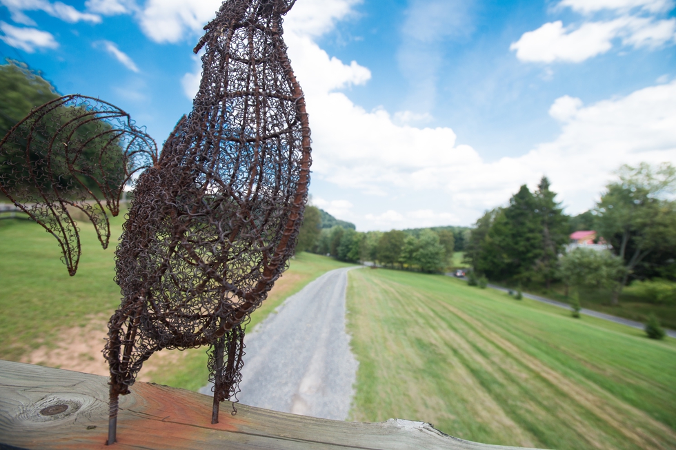 deep creek lake wedding photography karlo gesner photographer chanteclaire farm 0062.JPG