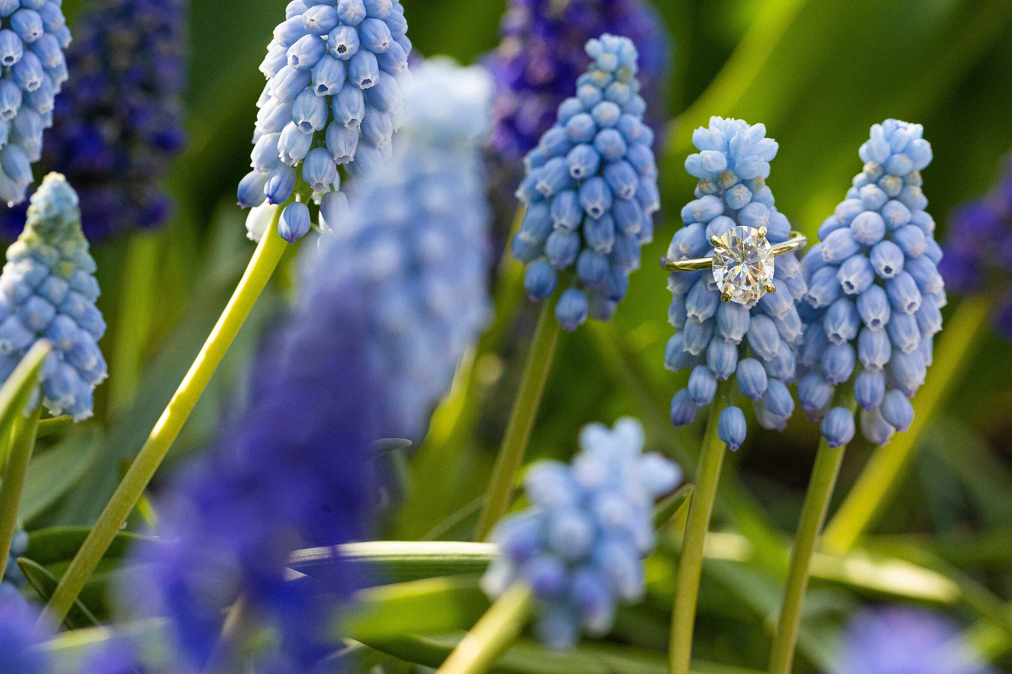 Karlo Gesner Photography - Matt & Zoe (Engagement) 105_Web.JPG