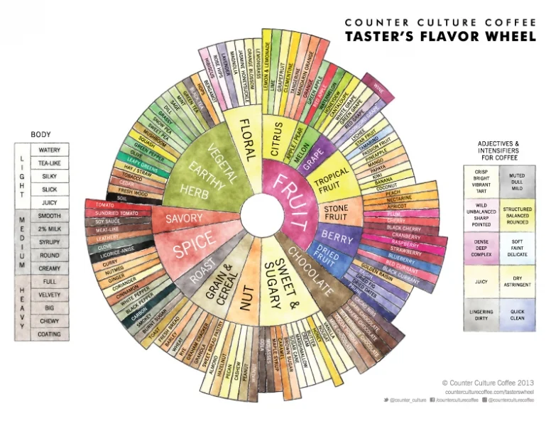 Counter Culture Coffee Taster's Flavor Wheel, from counterculturecoffee.com.