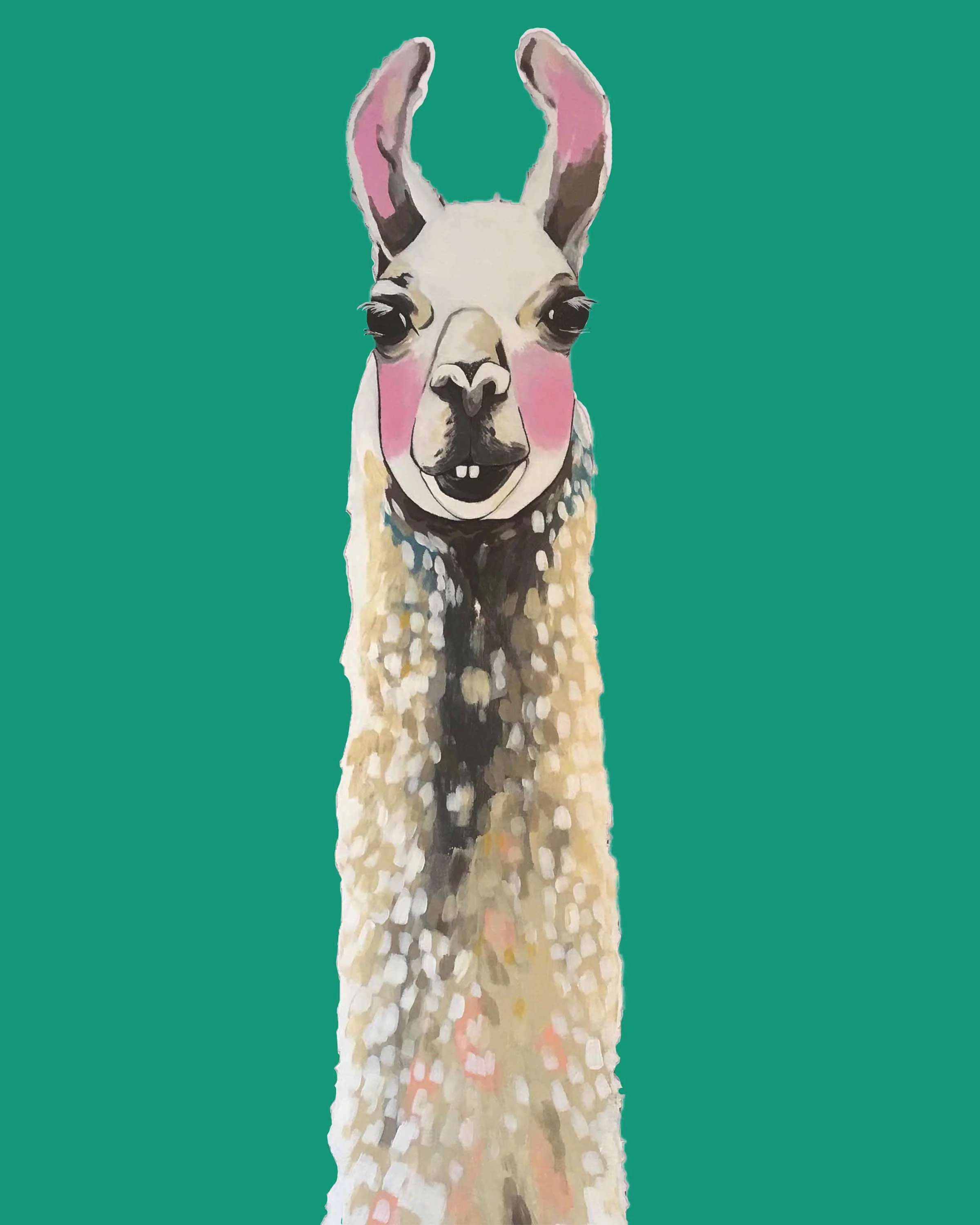 llama.jpg